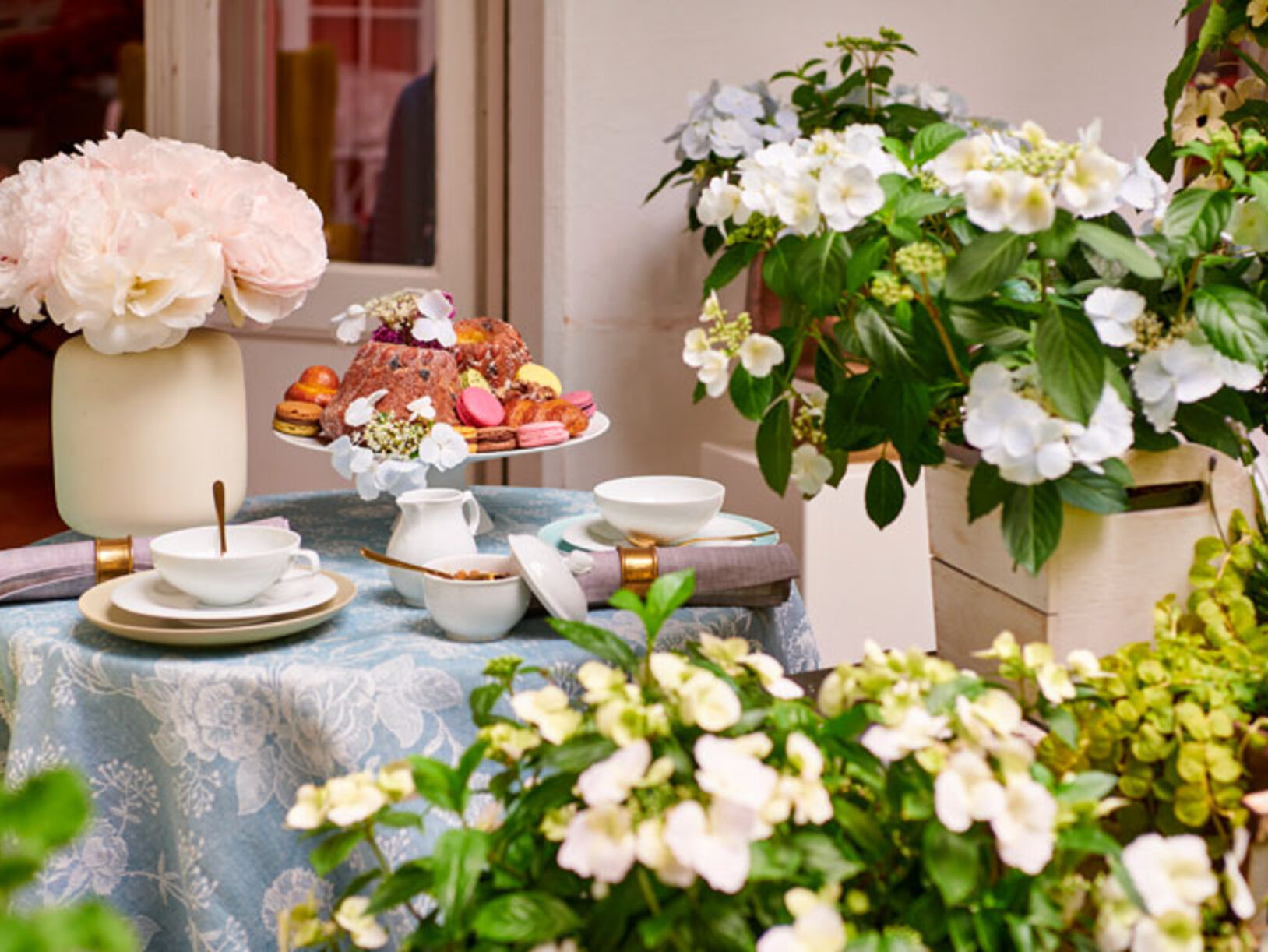 Sluierhortensia