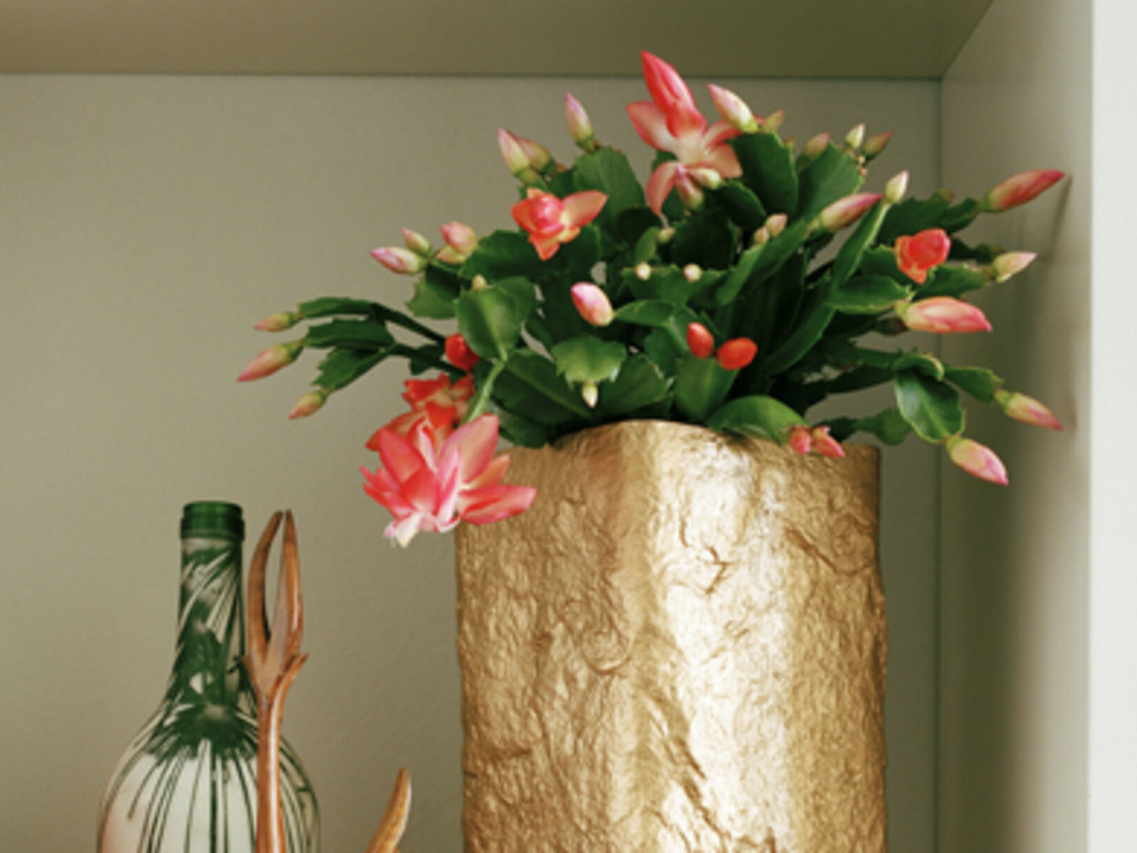 Woonplant van november