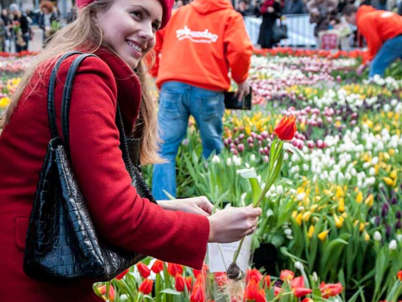 Nationale Tulpendag,