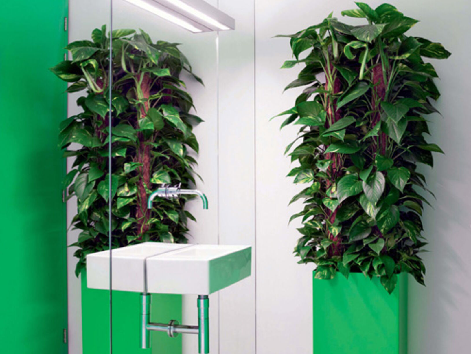 Plants XL