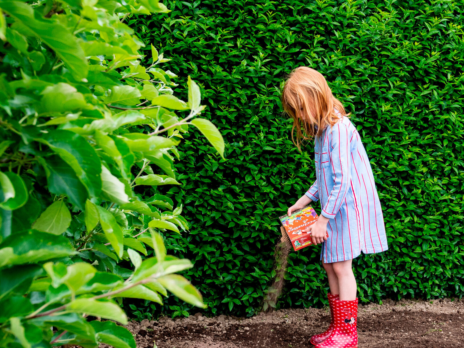 Bloemen, bijen en betere bodem