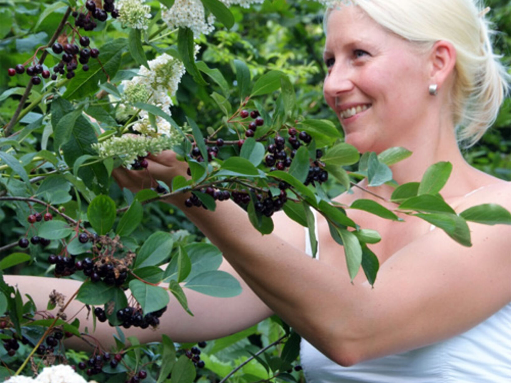 Bloemen en vlinders