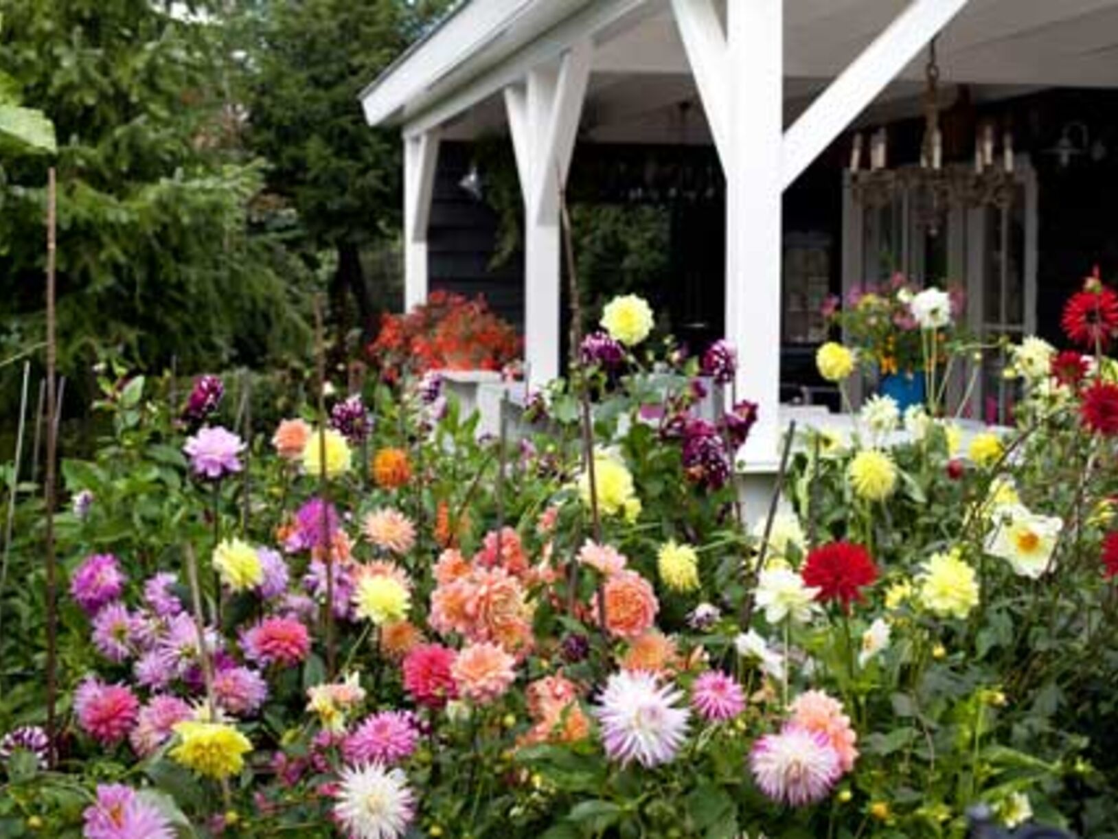 Bloemkwekerij in eigen tuin