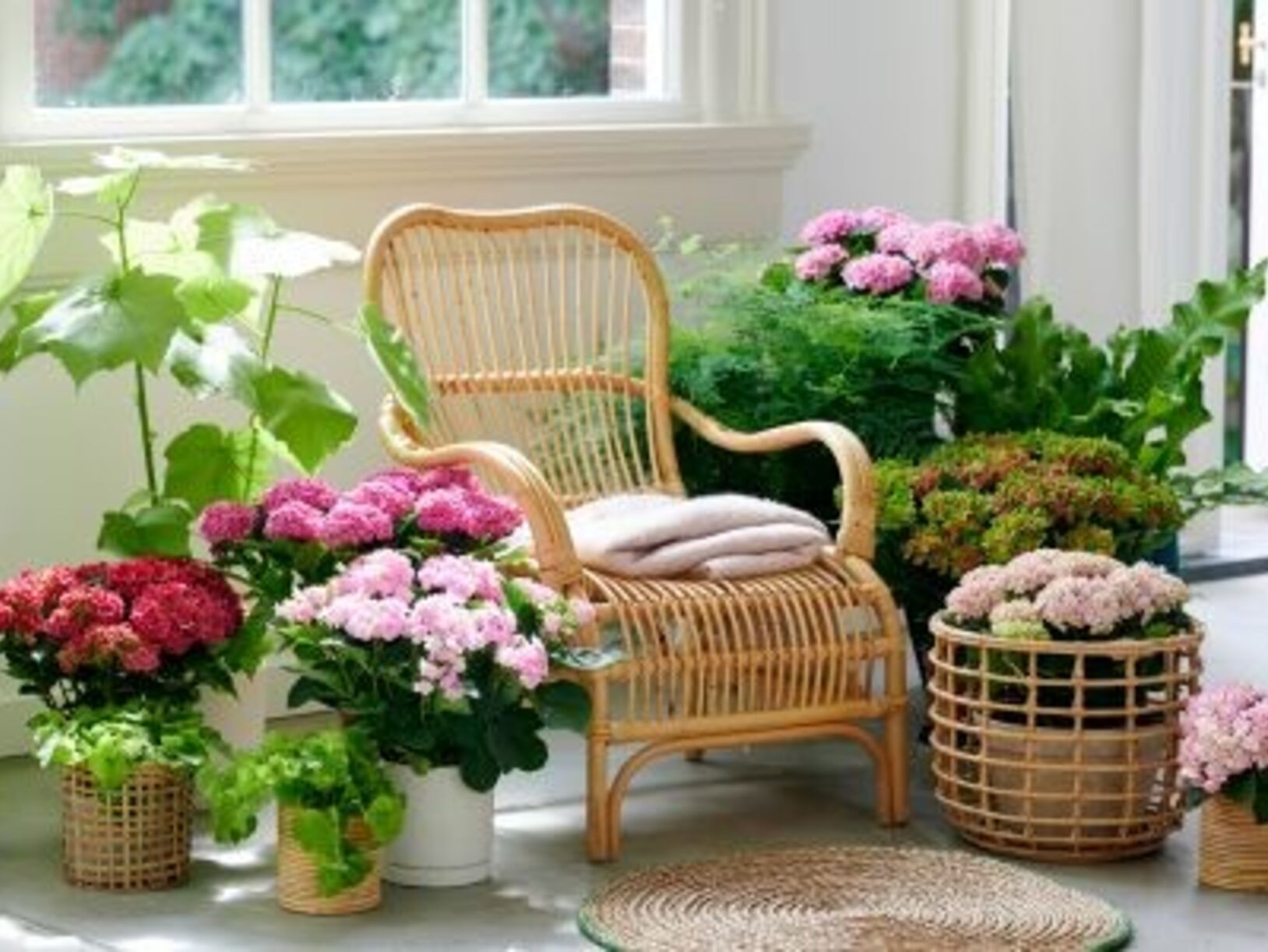 Gezond en fleurig wonen