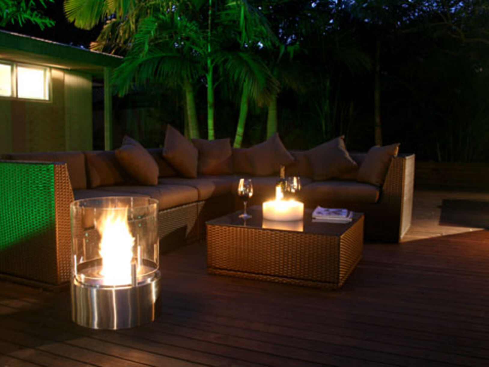 EcoSmart Fire