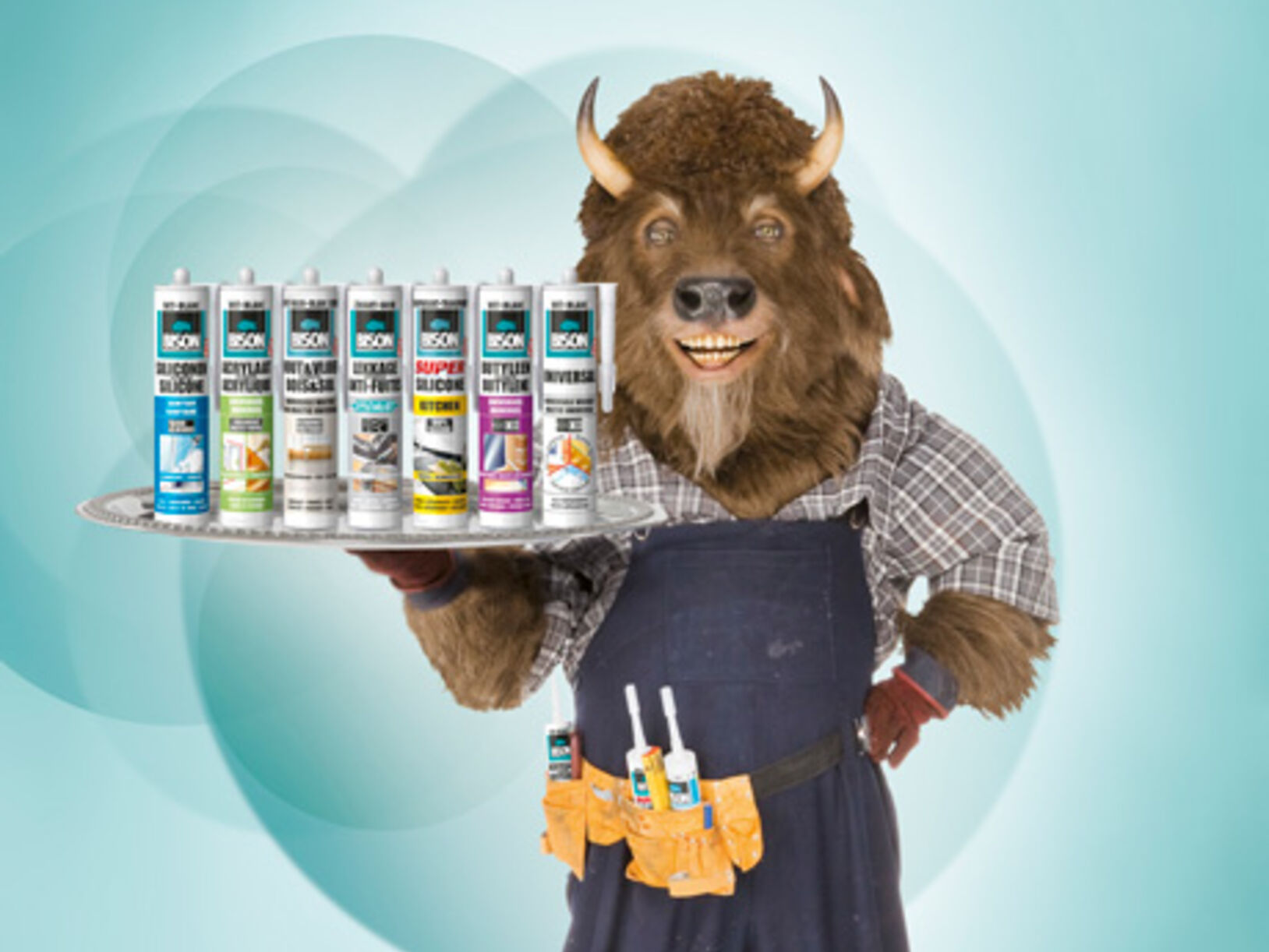Bison afdichtingskitten