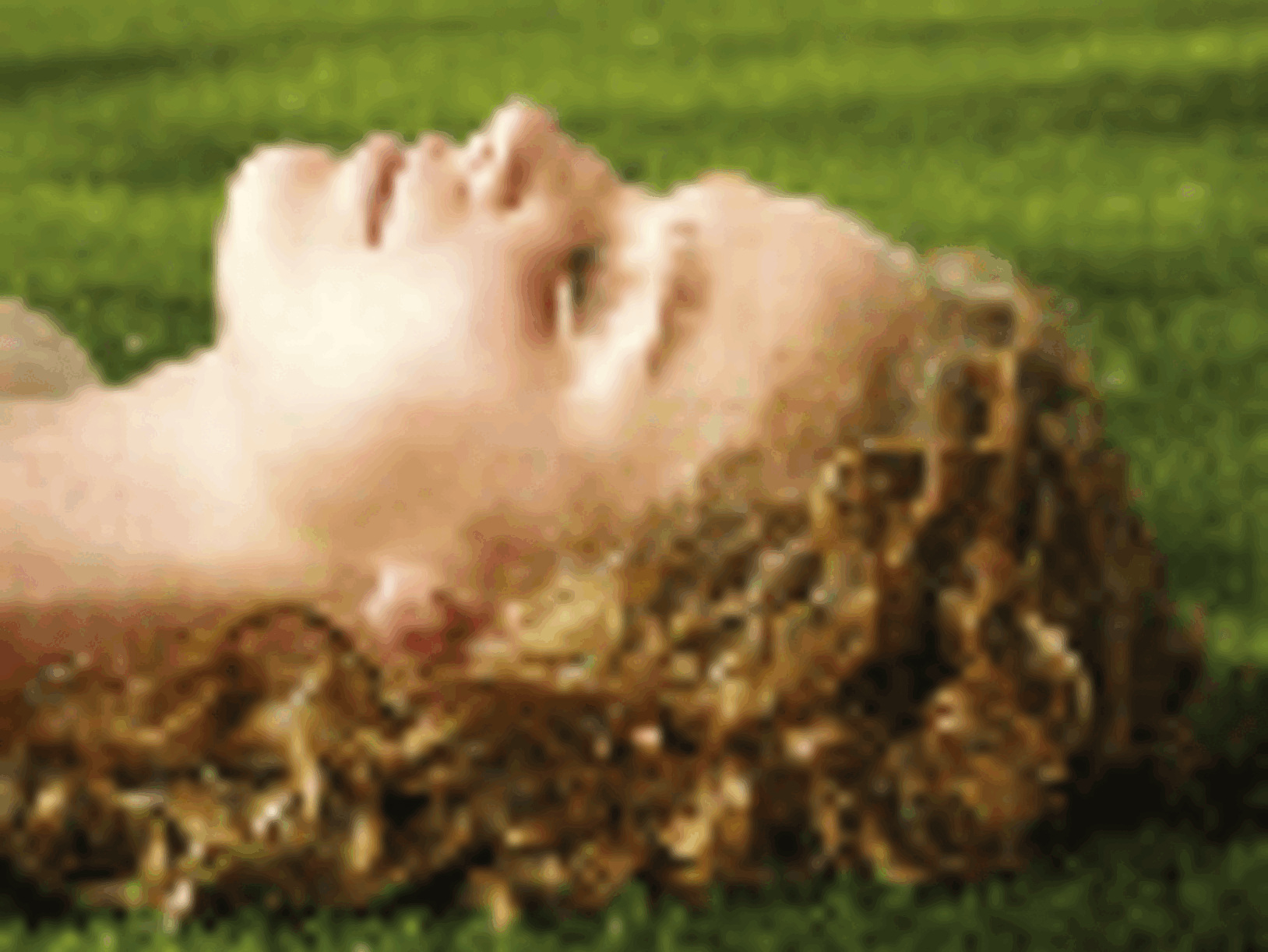 Royal Grass