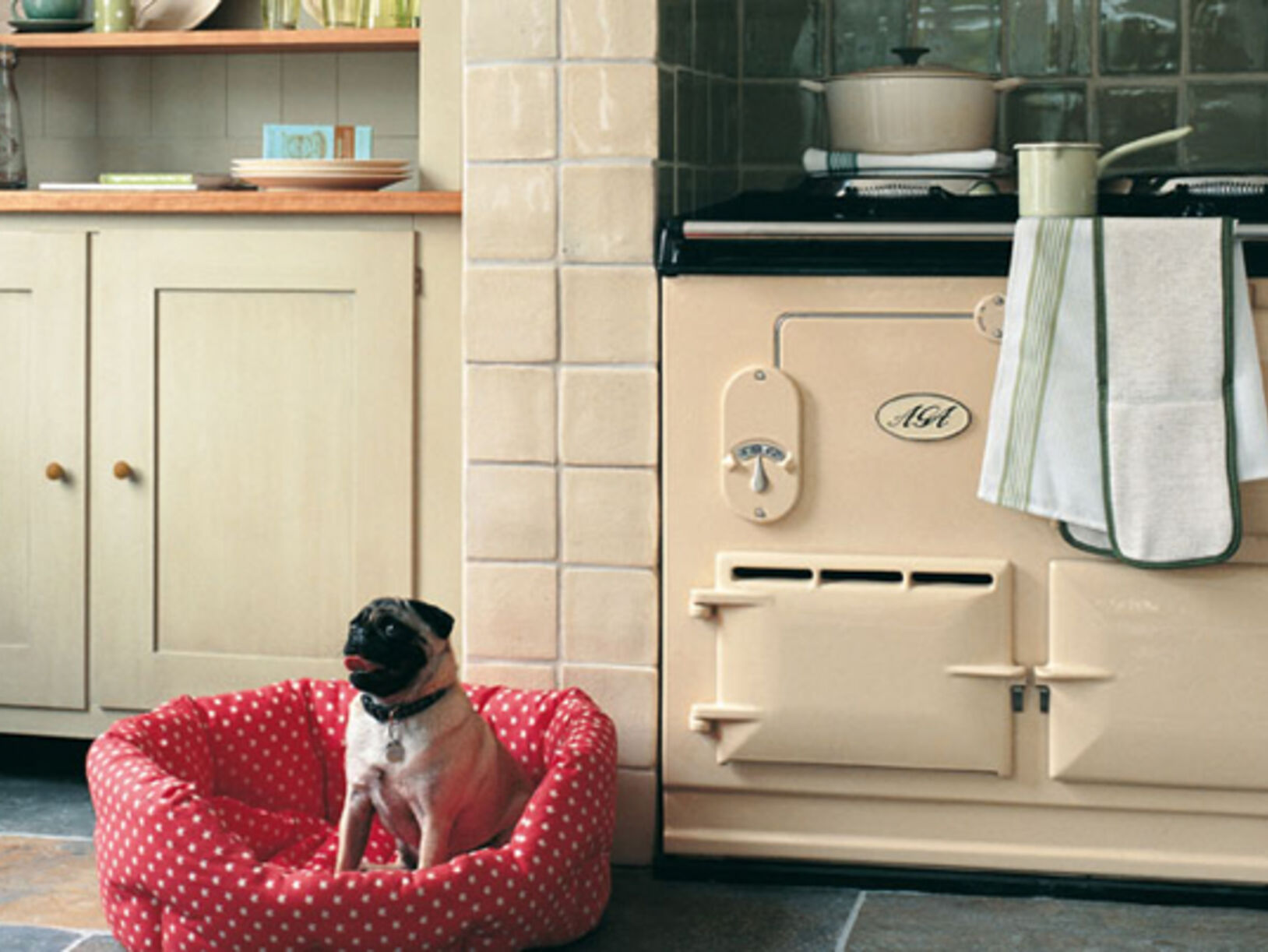 Aga fornuizen