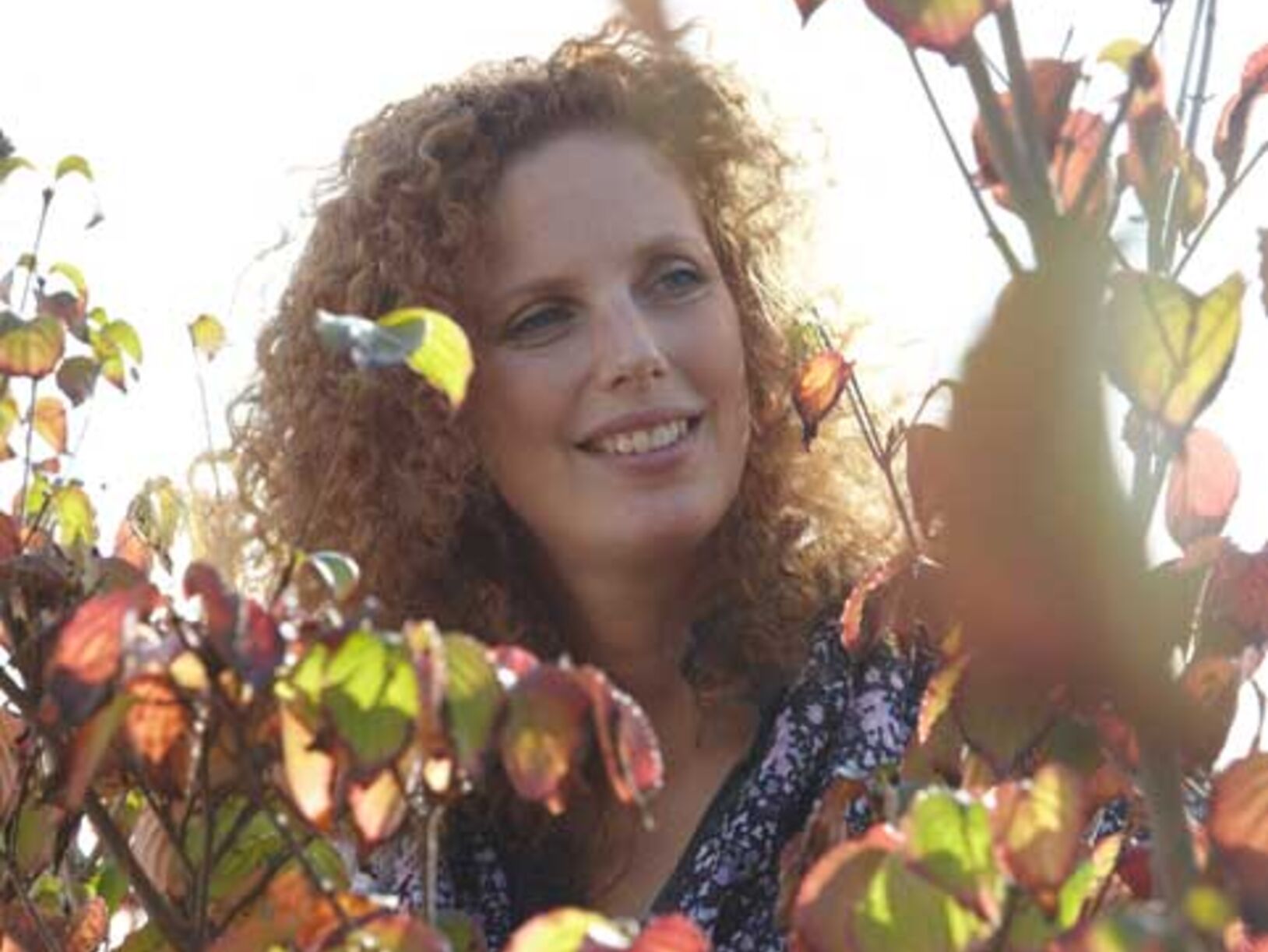 Genieten in een duurzame, groene tuin