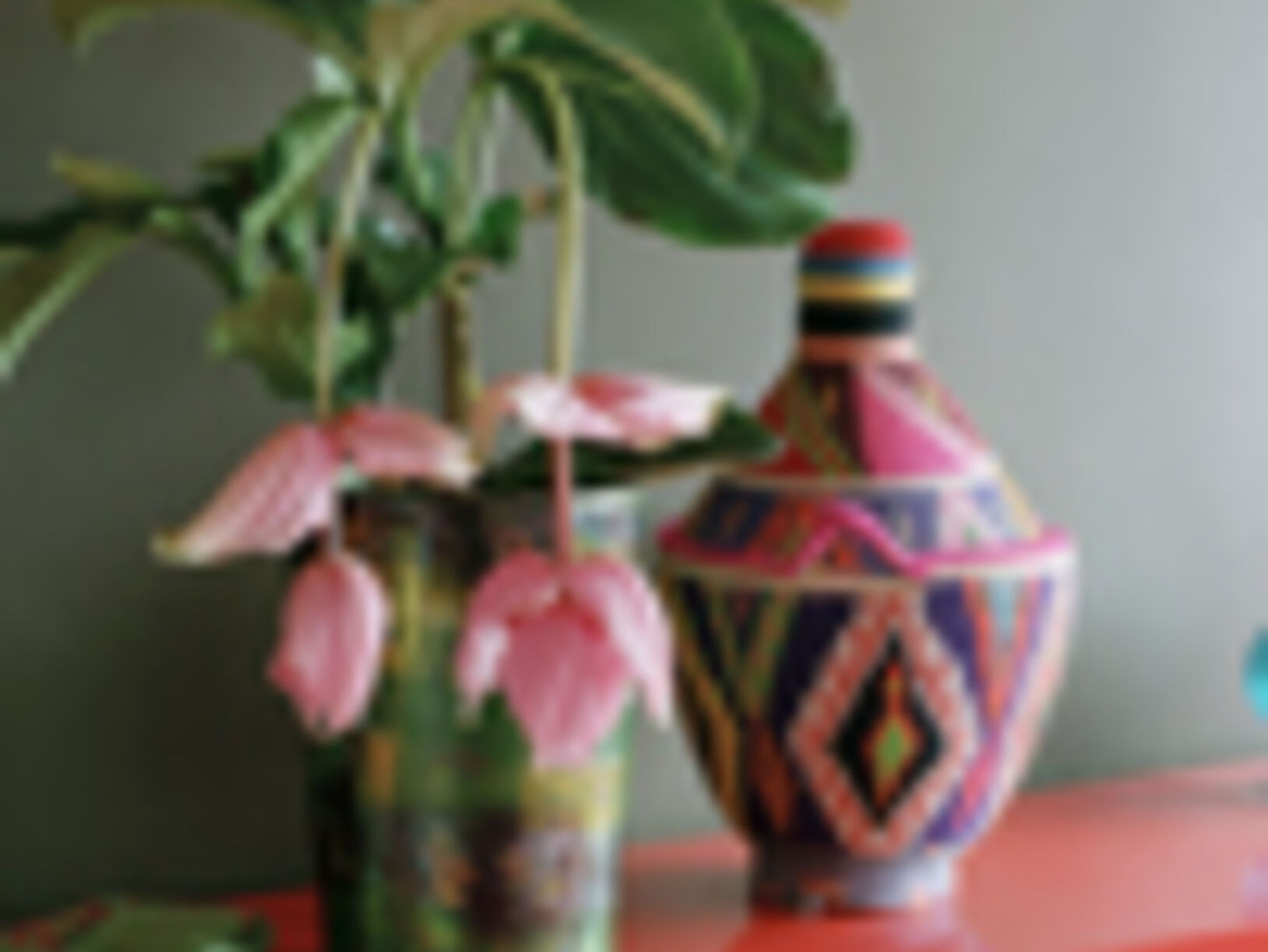 Woonplant van de maand juli