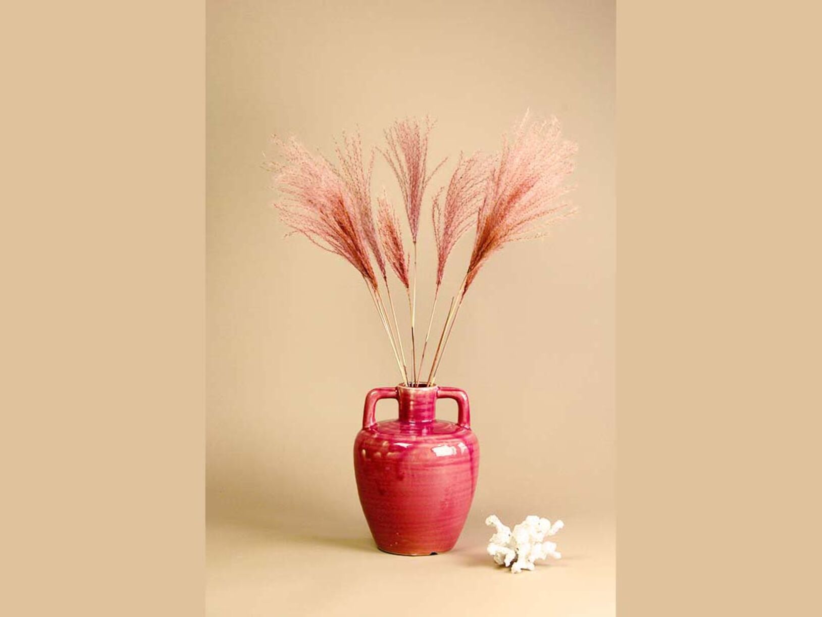 Pampas pluimen