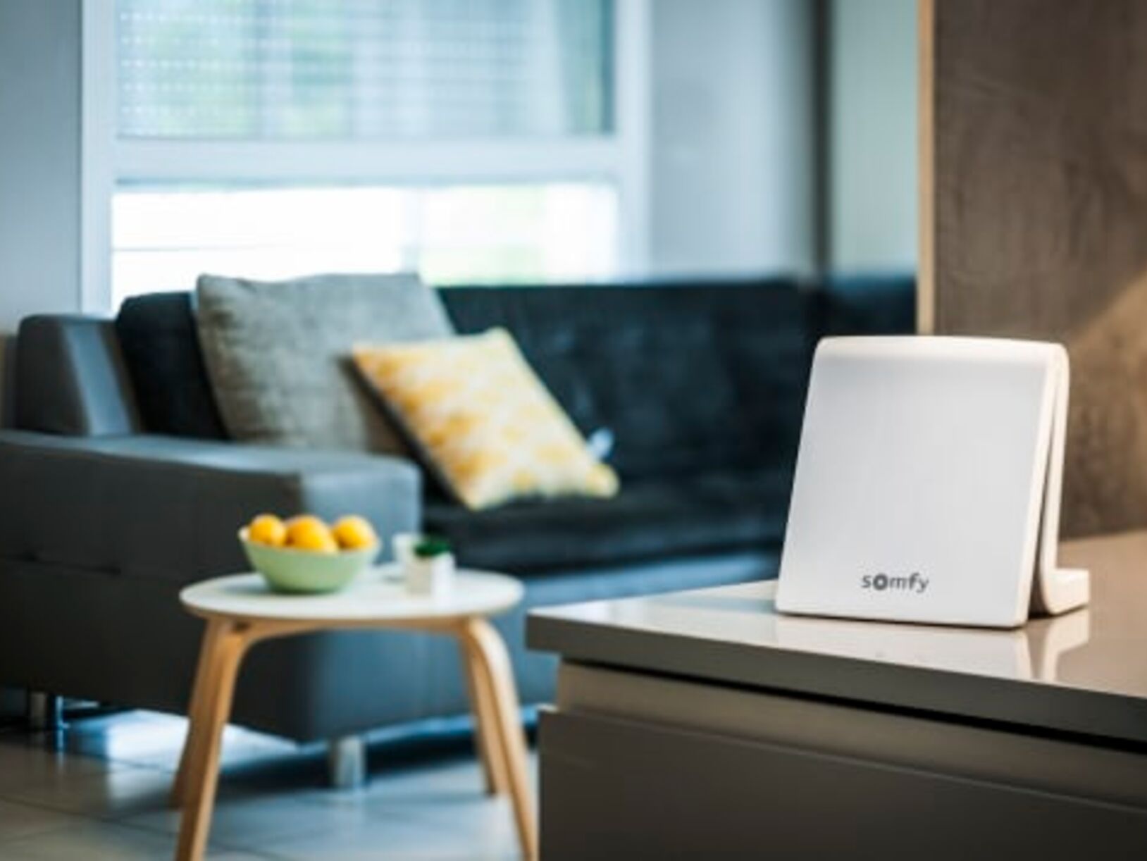Somfy’s Smart Home producten