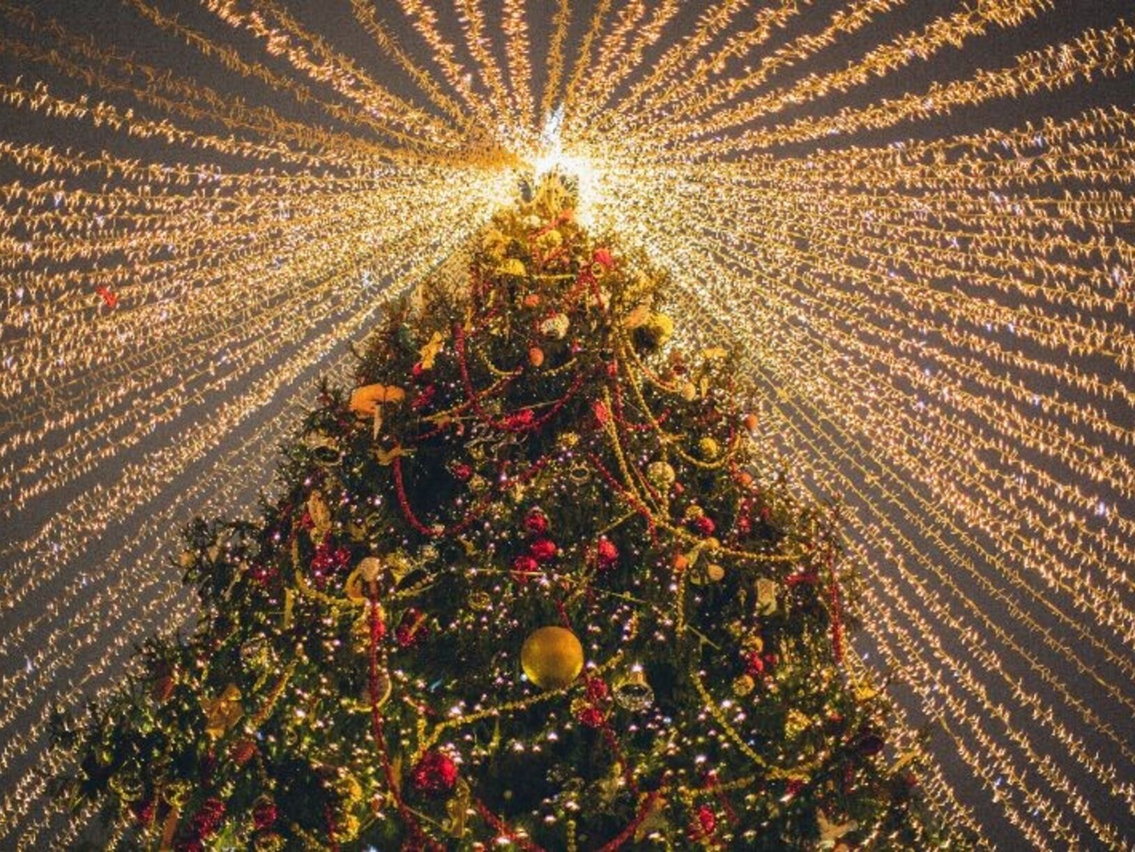 Dit mag niet missen in jouw kersttuin