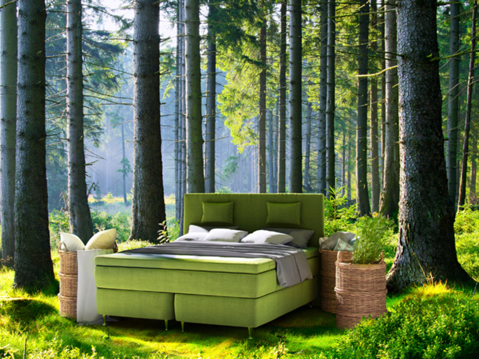 Ecolife Beds