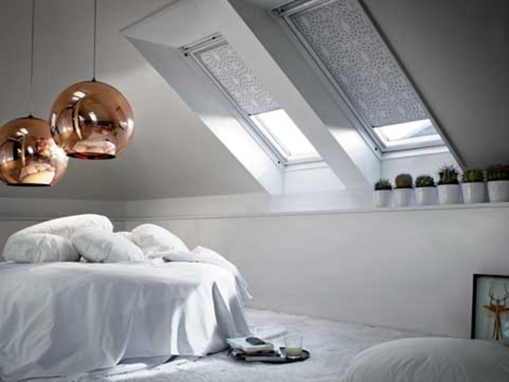 VELUX dakramen