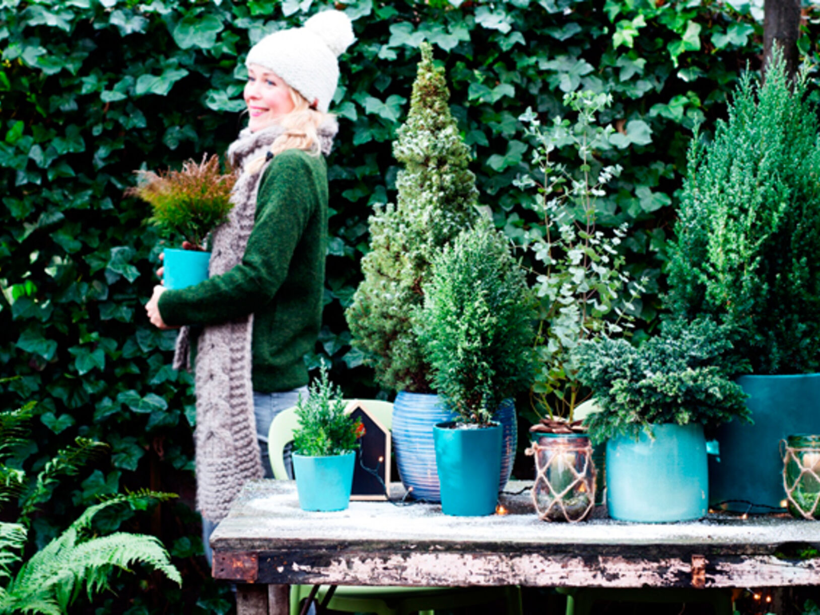 Tuinplant van de Maand januari