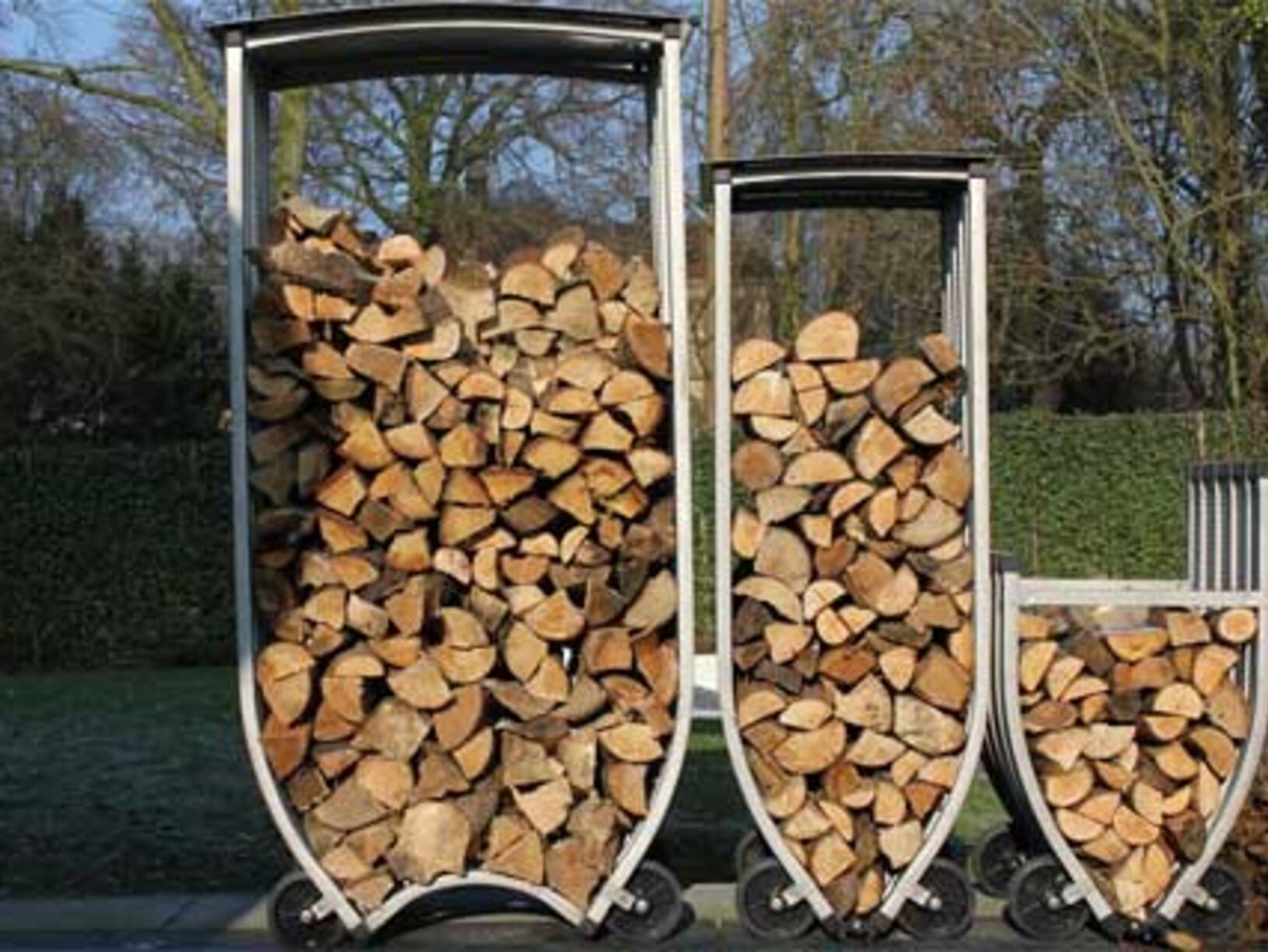 Walk in Wood