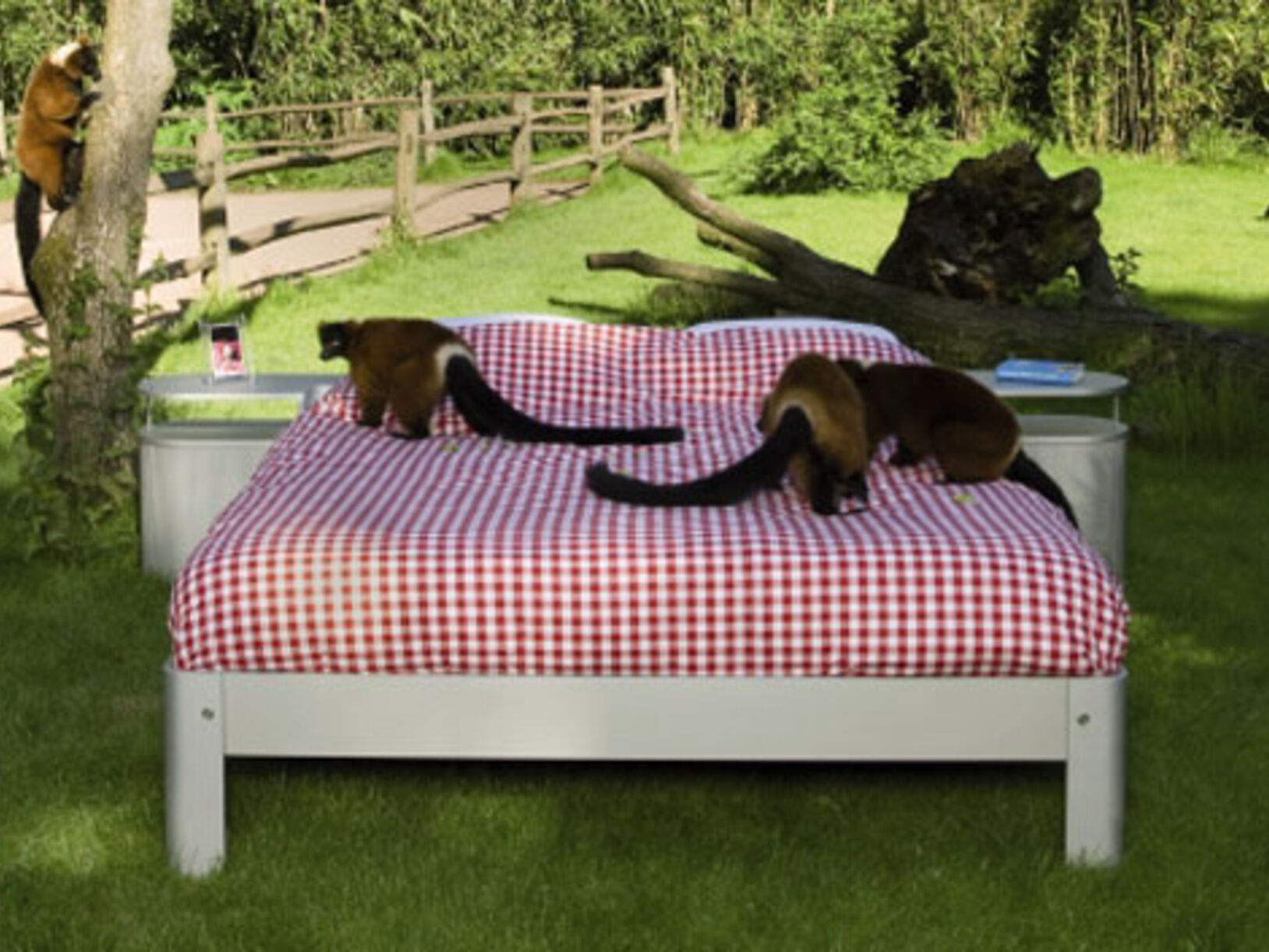 Auping bedden