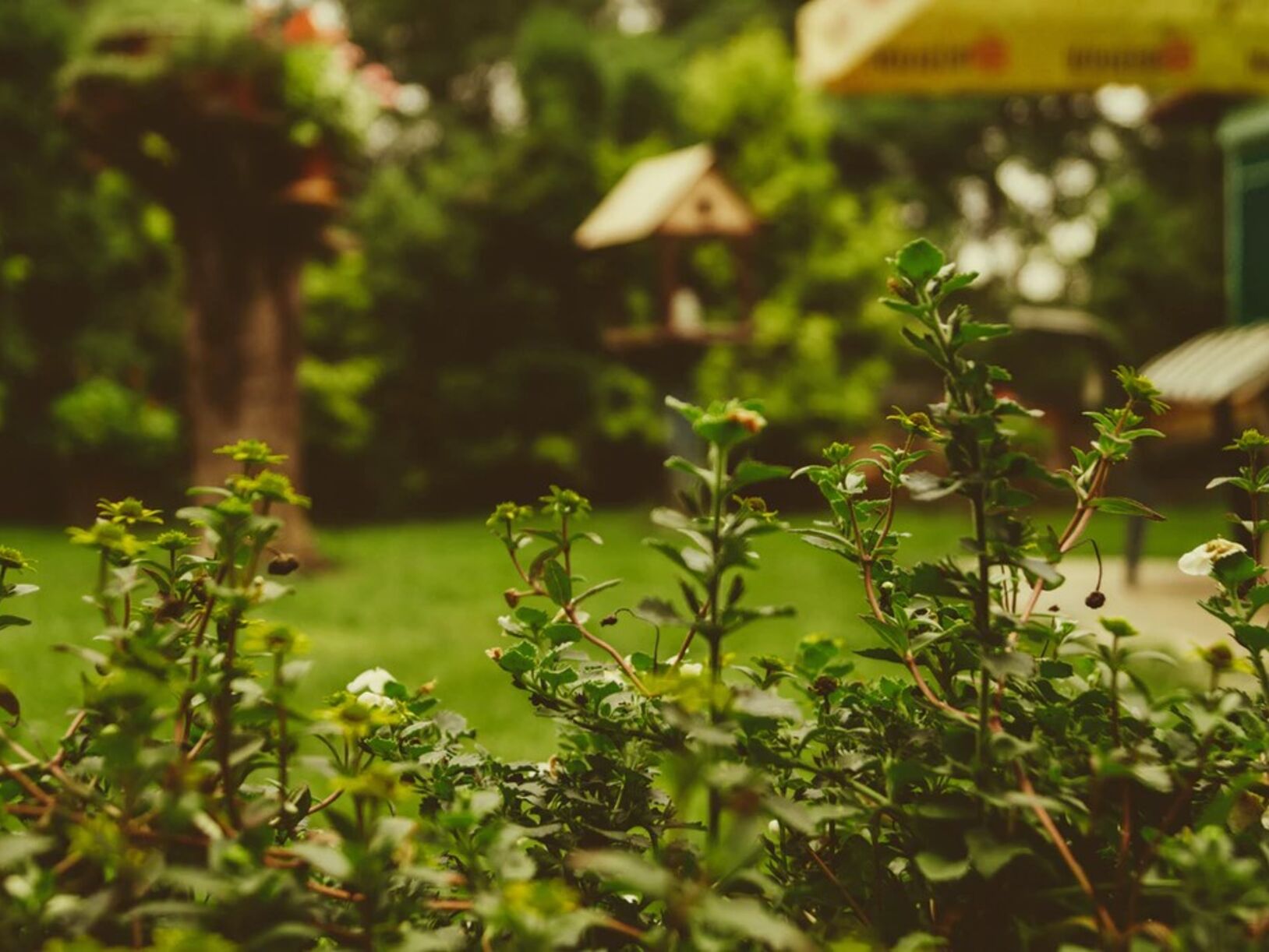 Je tuin zomerklaar maken