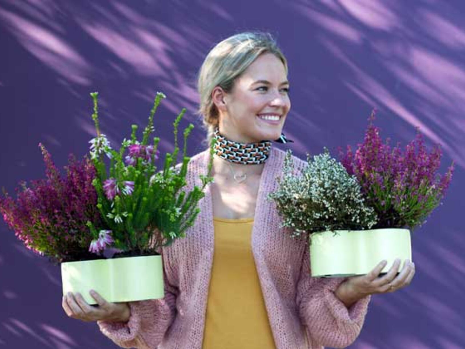 Tuinplant van de Maand januari