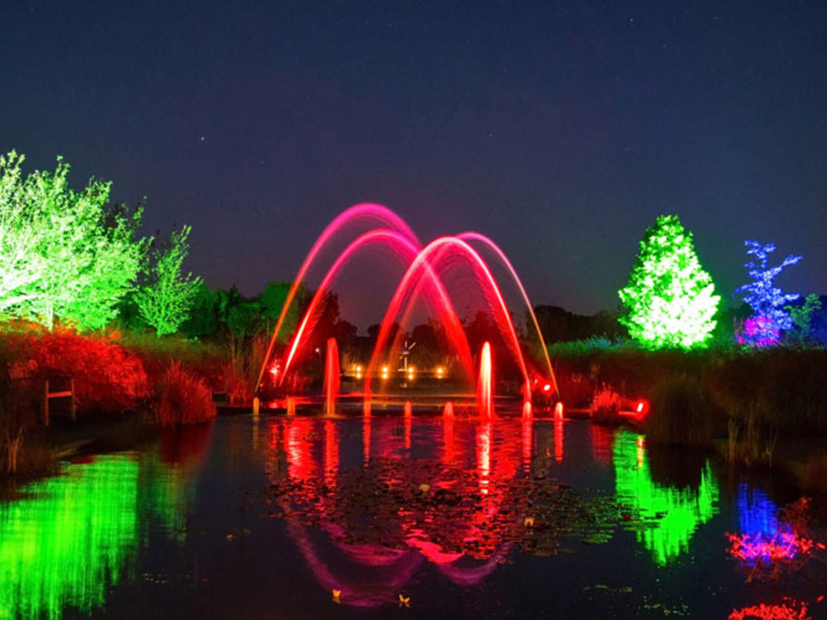 Mystery Gardens in Lights