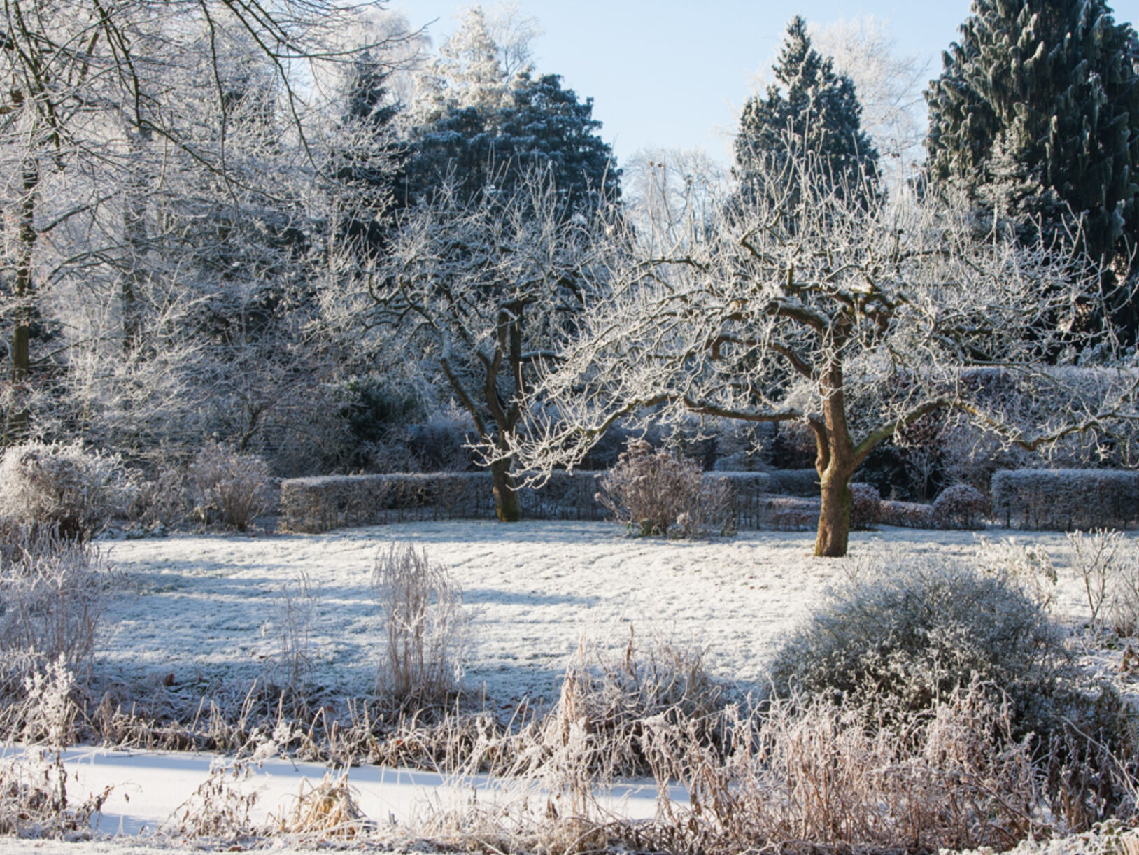Een heerlijke wintertuin