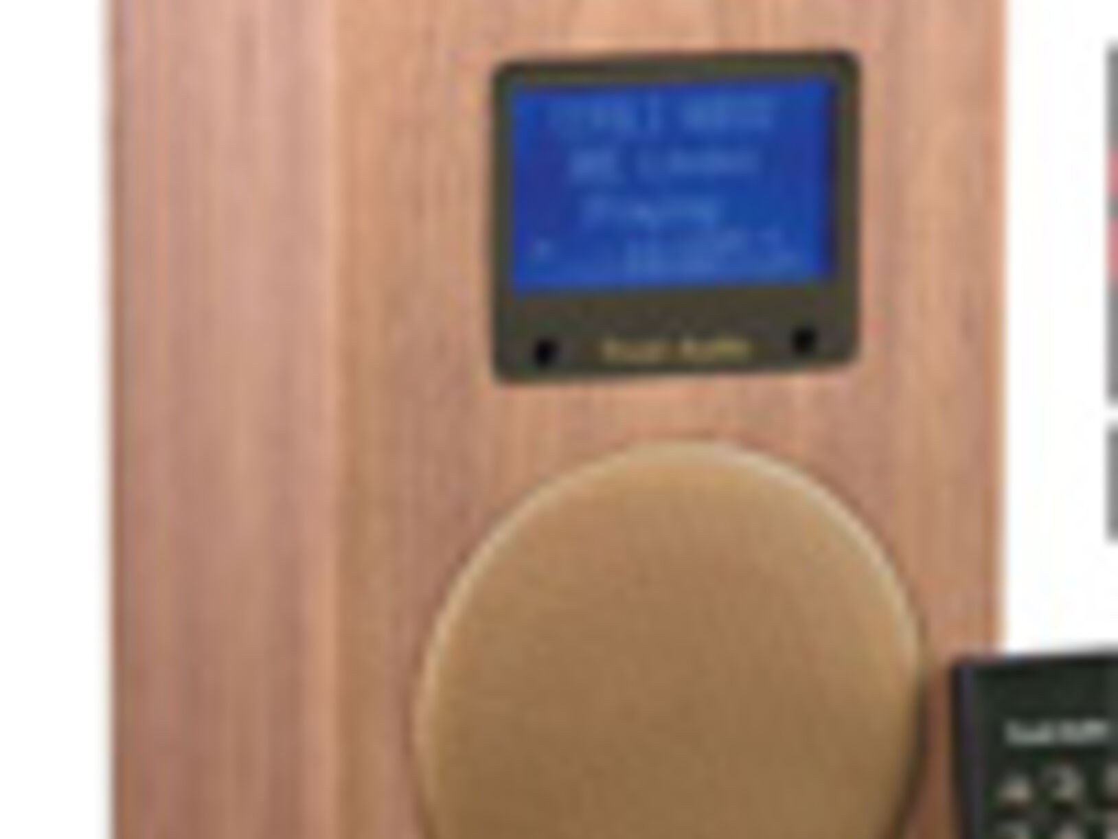 Tivoli Audio networks