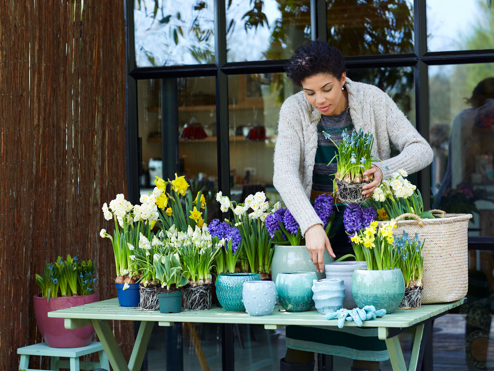 Tuinplant van de Maand februari