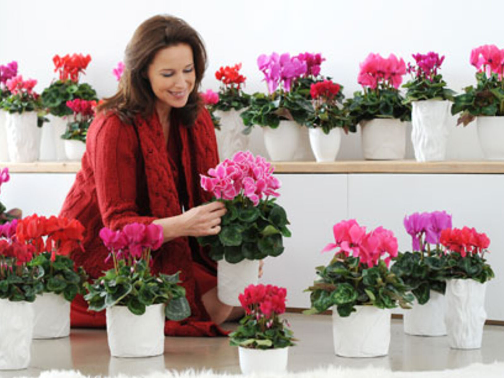 Woonplant van november