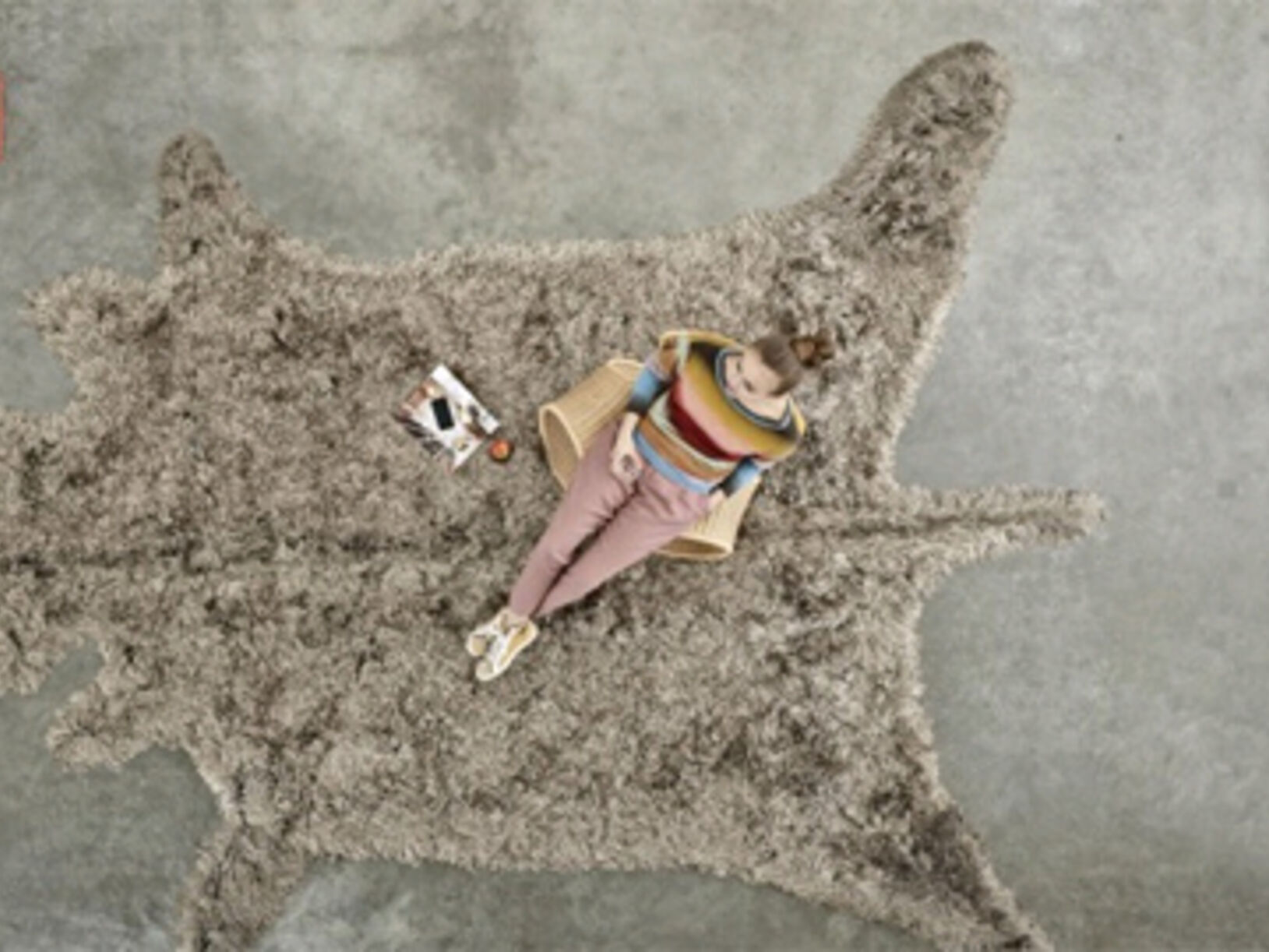Roadkill
