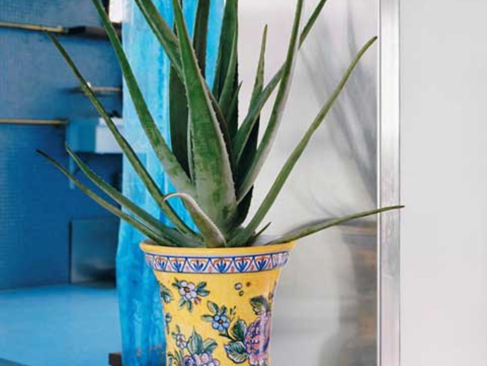 woonplant van juli