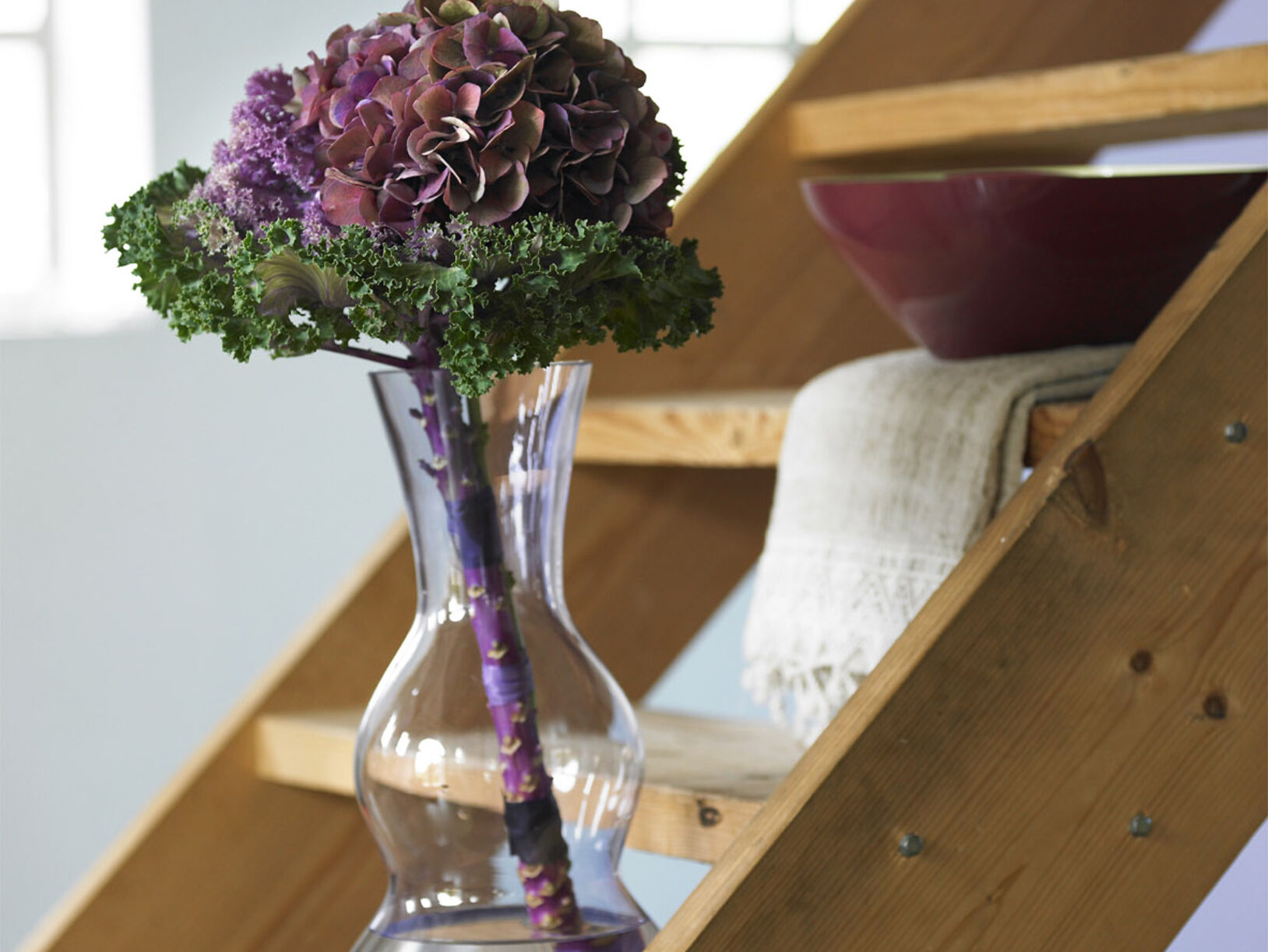 Snijhortensia