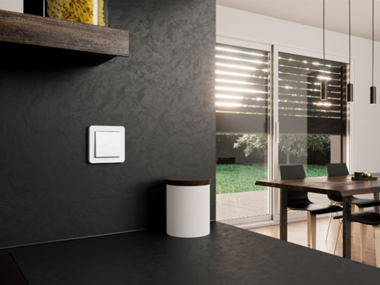 Gira System 55