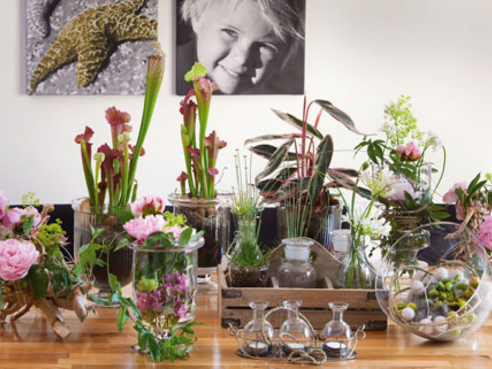 Hortus in huis