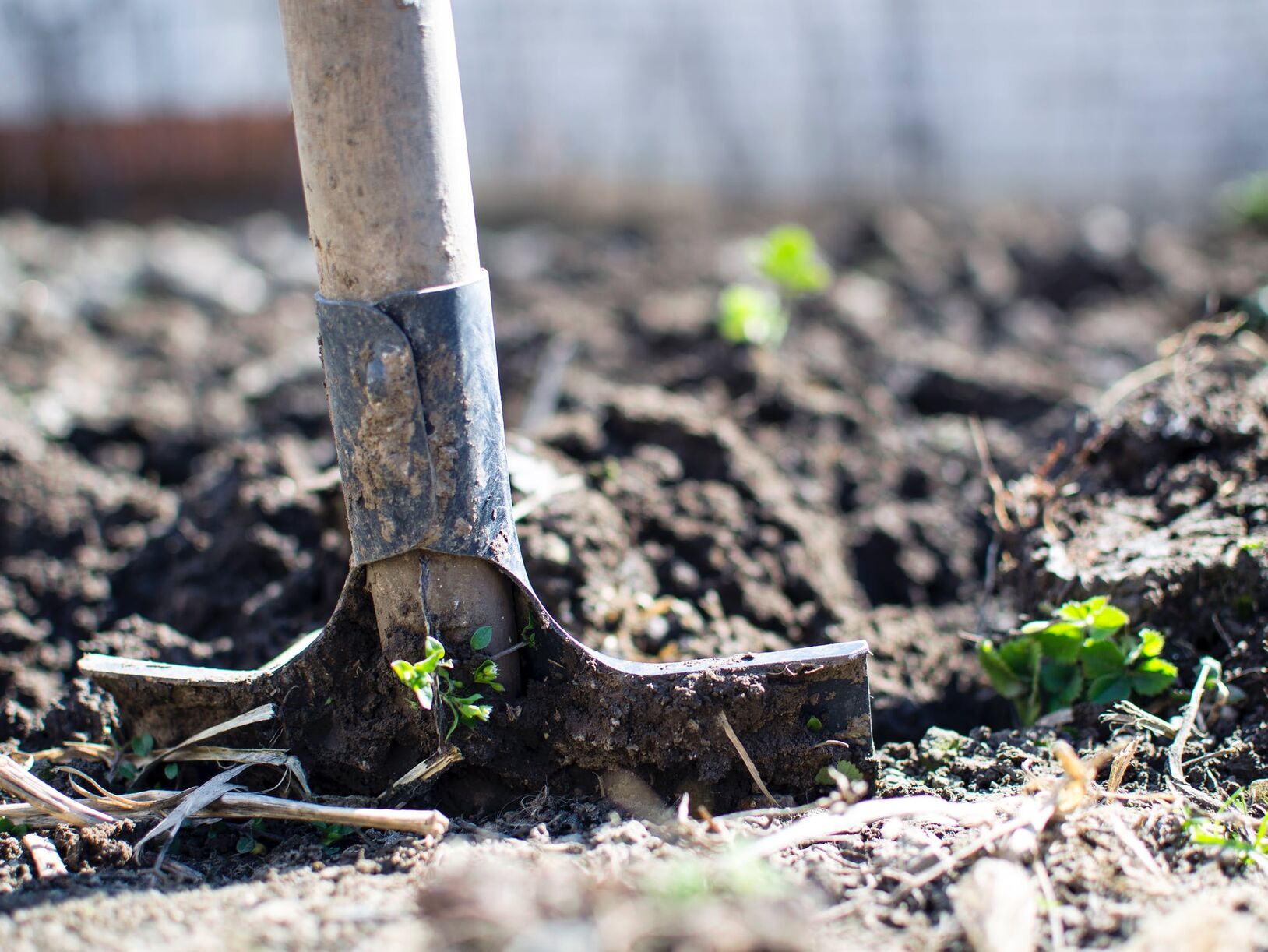 5 voordelen van een tuinman