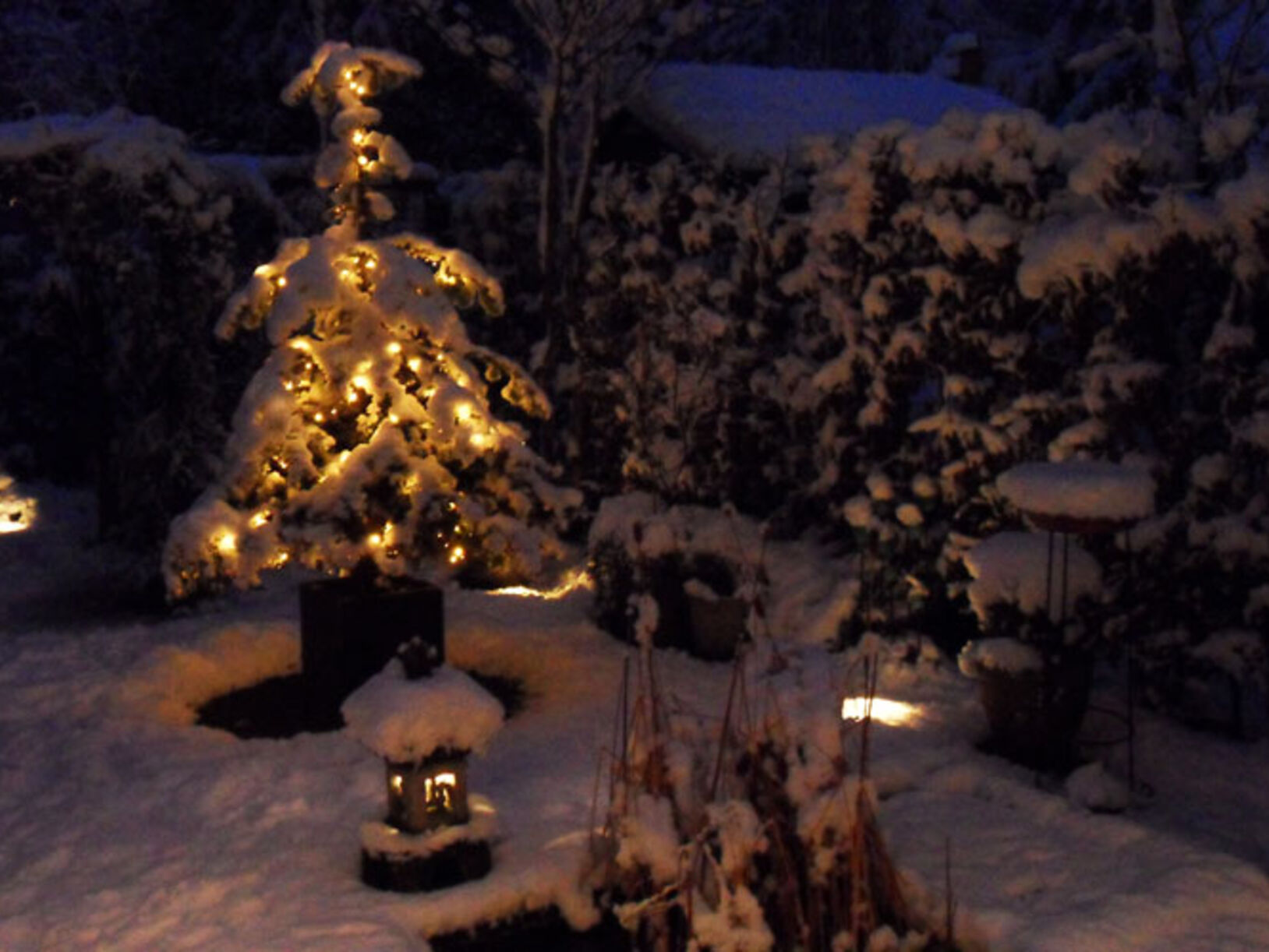 Een prachtige wintertuin