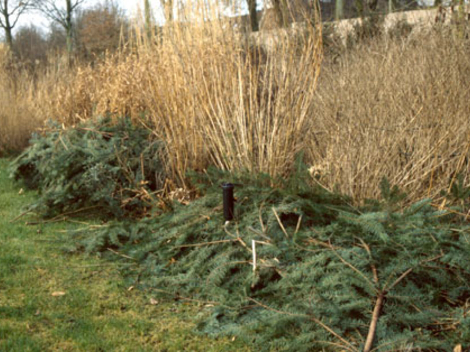 KIJKTUINEN NUNSPEET