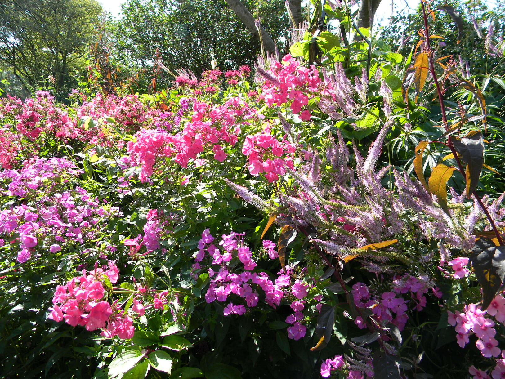 Groei & Bloei Nationale Tuinweek