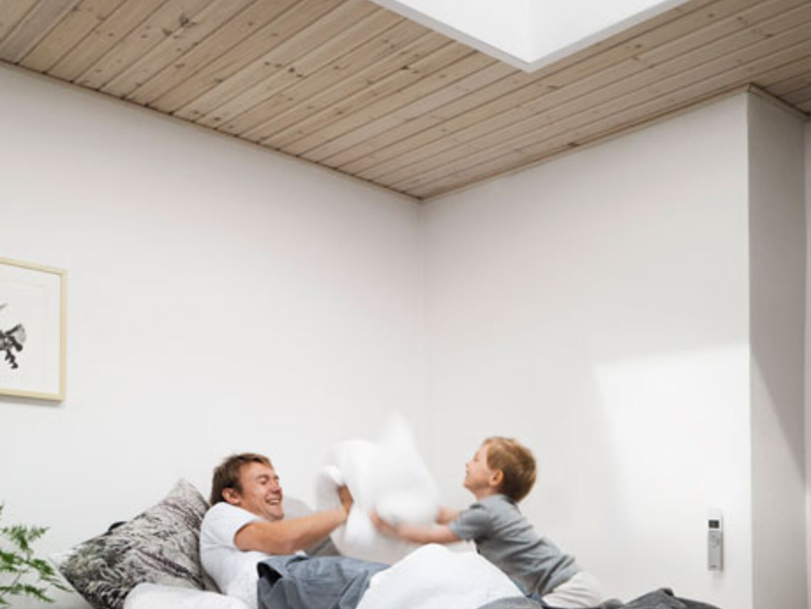 Velux daglichtvensters