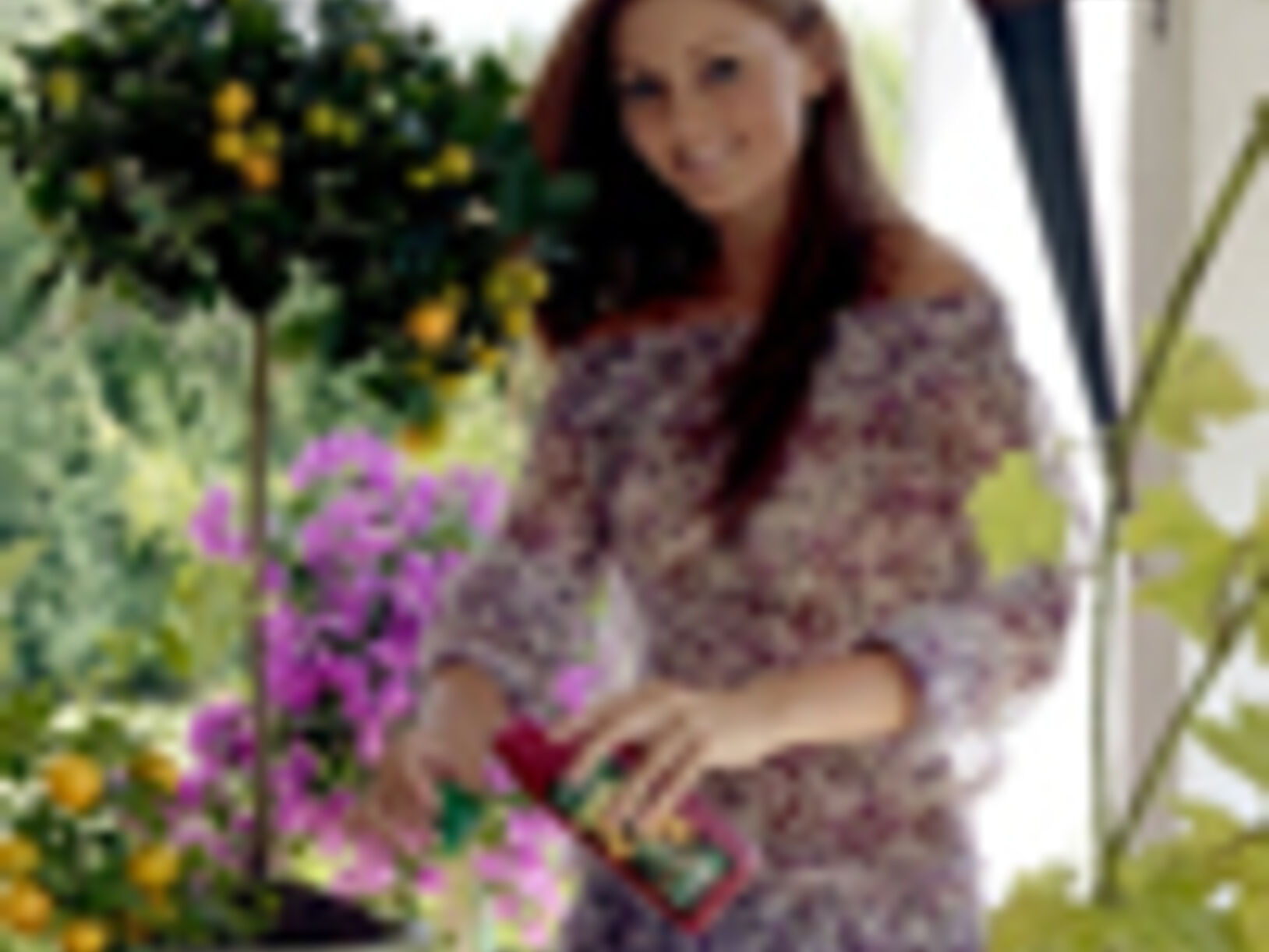 Pokon plantenvoeding