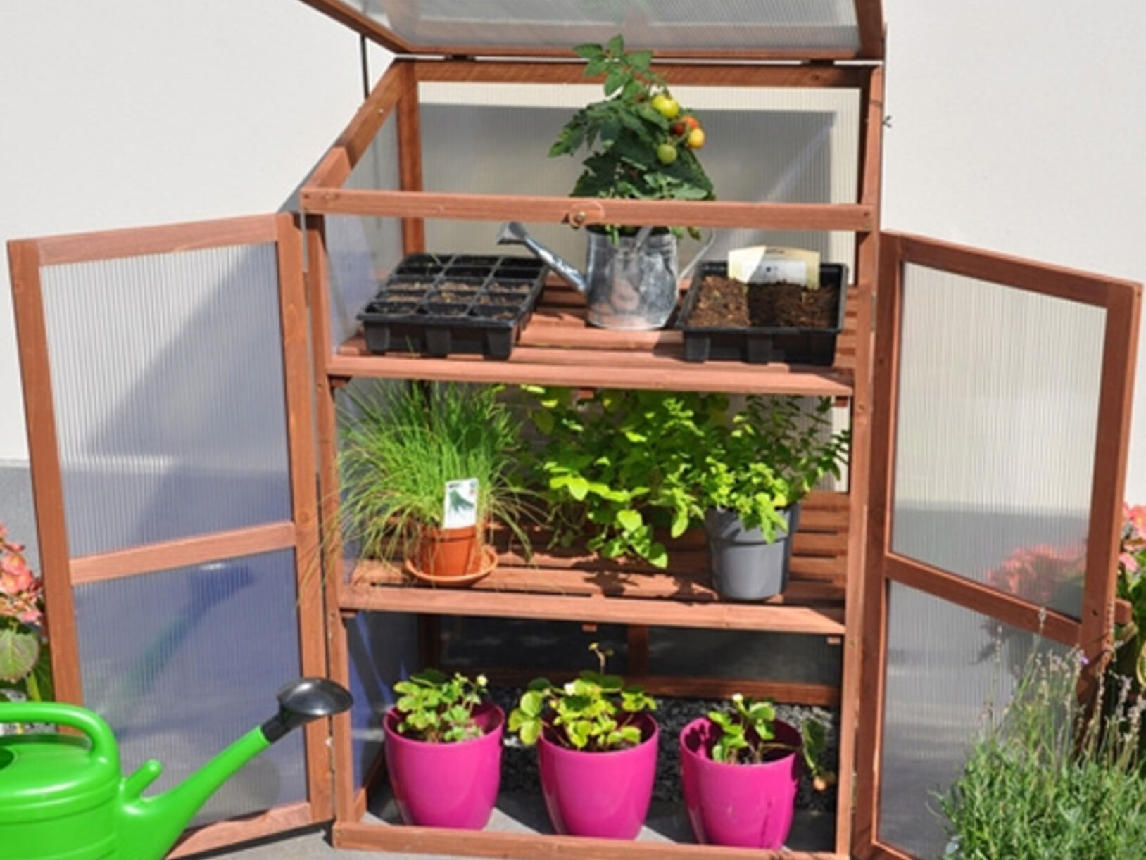 Nederland in de ban van moestuintjes