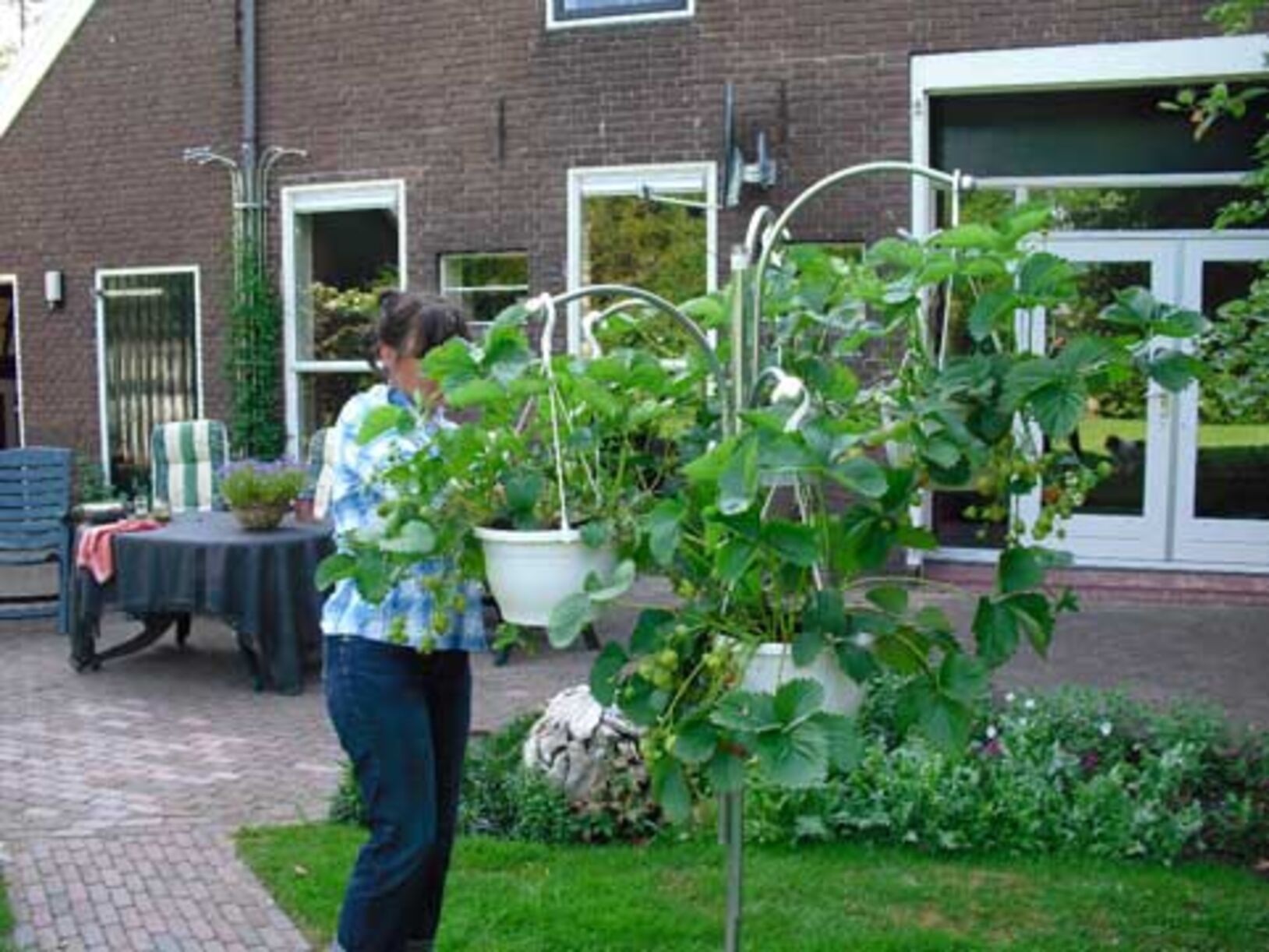 Efloria hangplantenstandaard