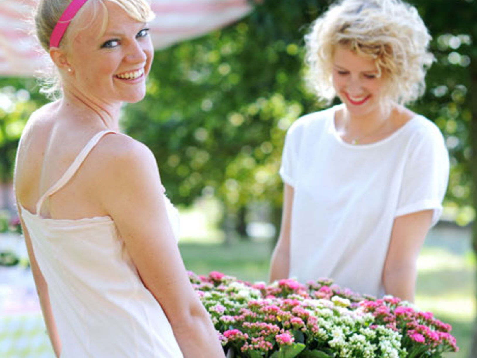 Vakantieplant… gezellig hè!