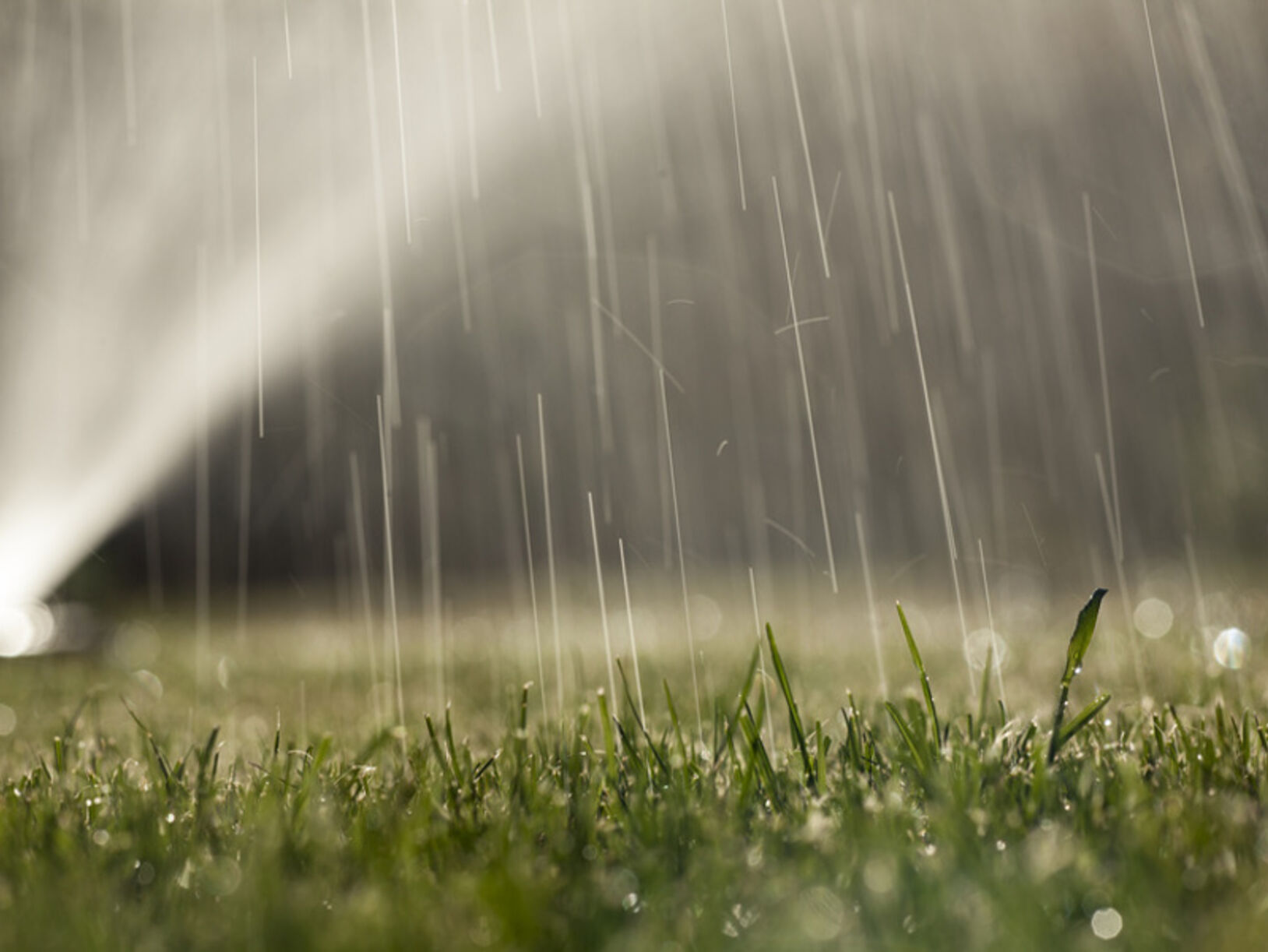 Tuinonderhoud in de zomer