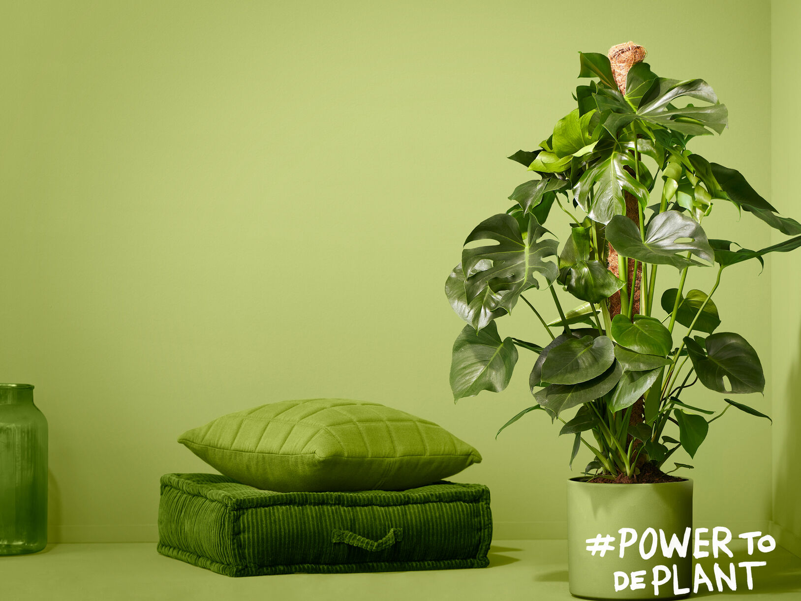 Pokon Powerplanten