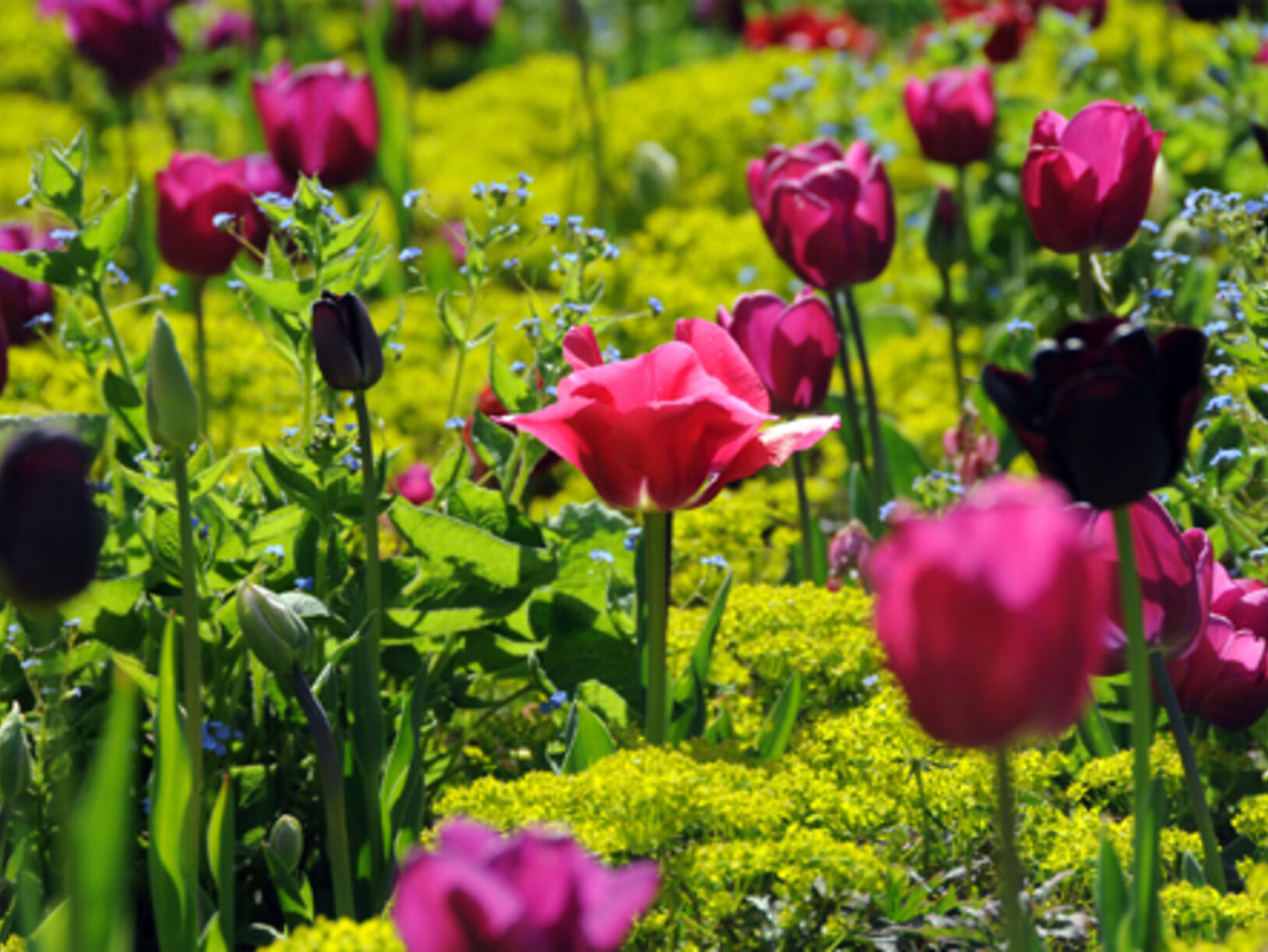 Najaar: tijd voor de tuin