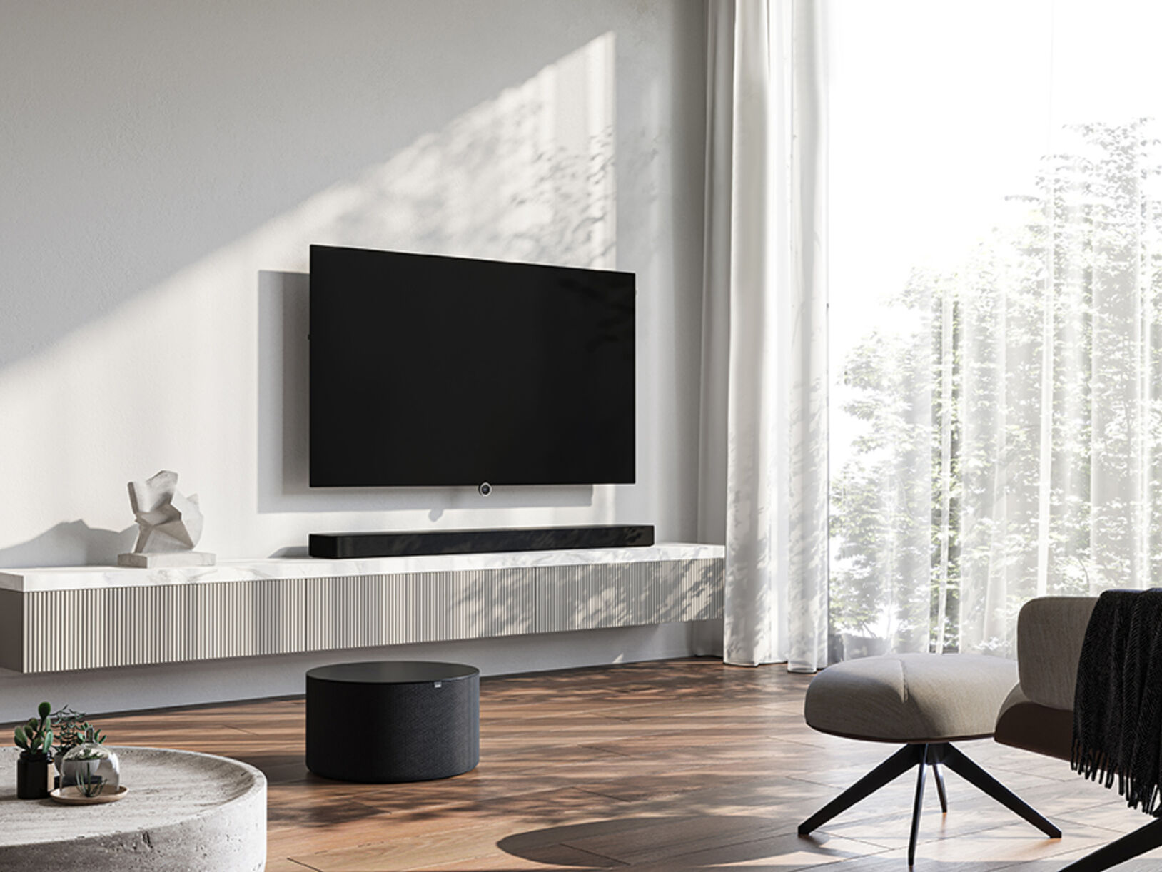 Loewe bild i