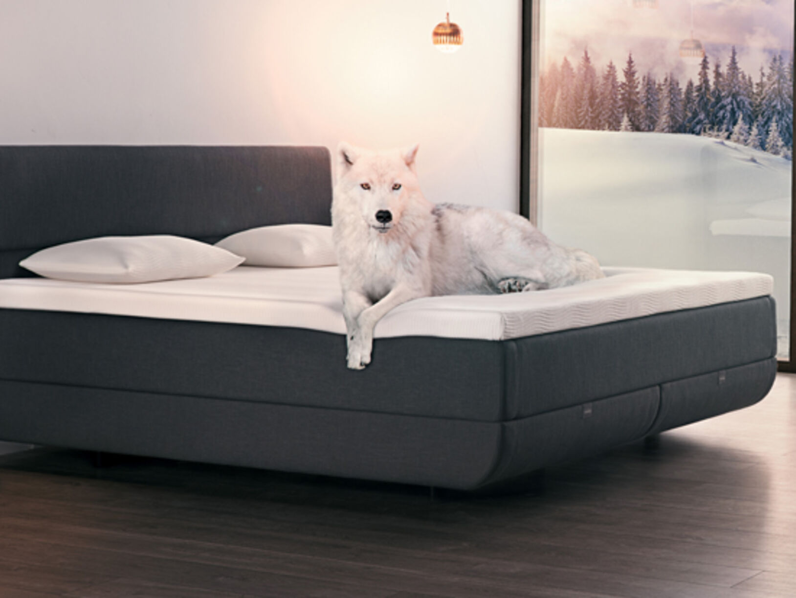 TEMPUR North slaapsysteem