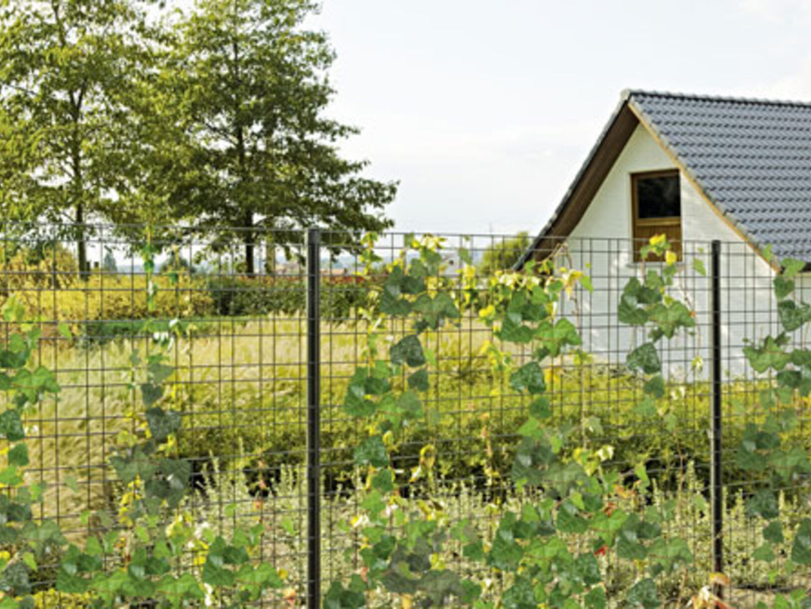 Betafence tuinpanelen