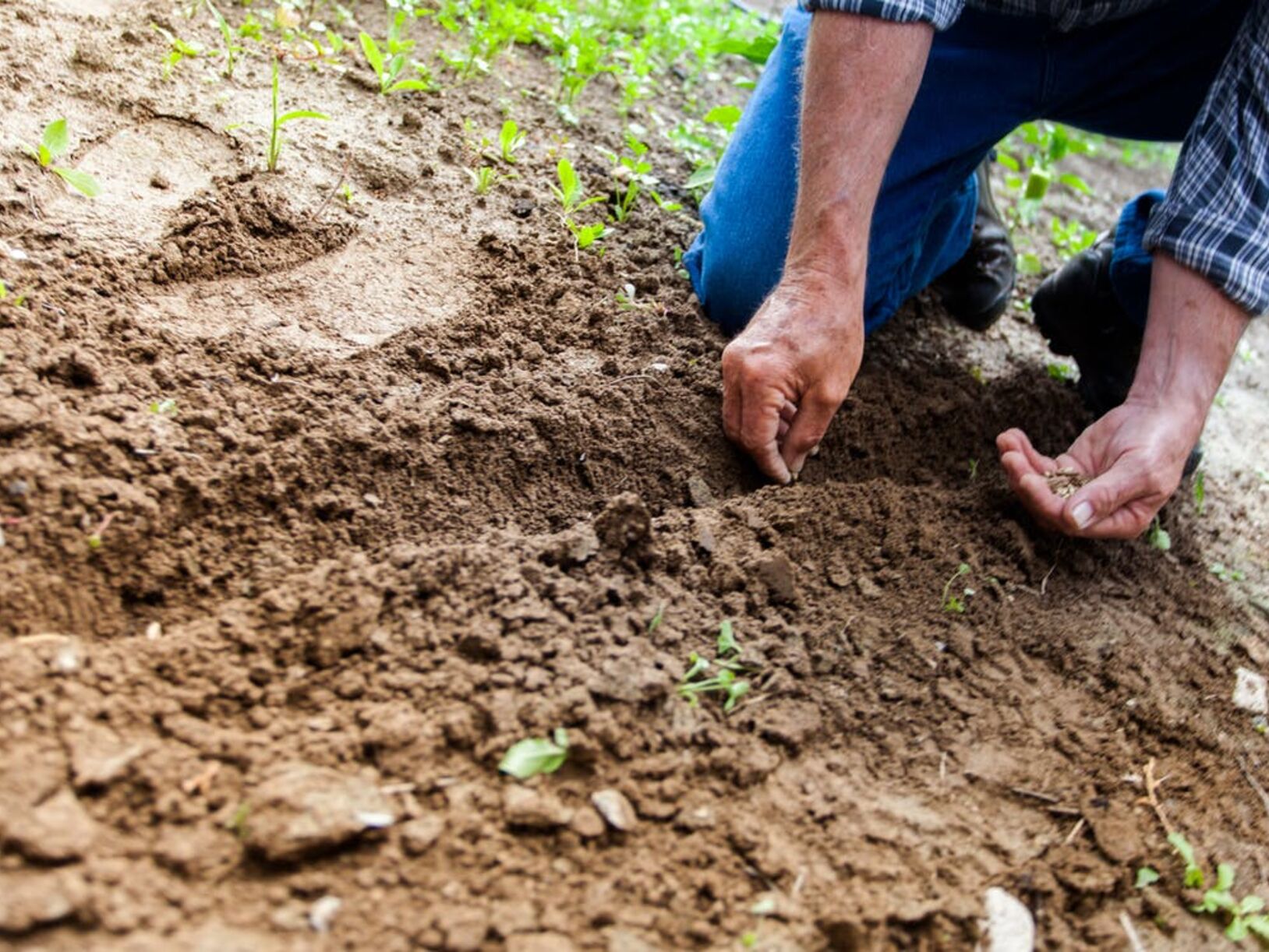 Je tuin tegen alle seizoenen bestendig maken